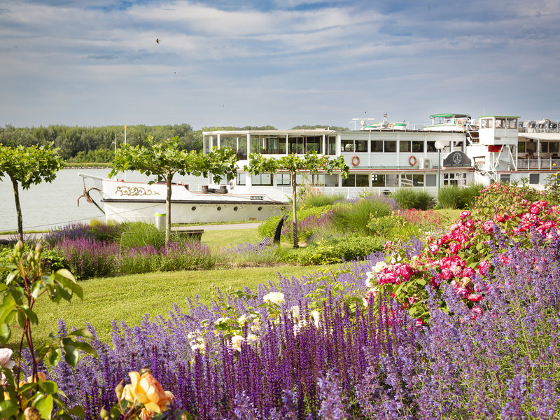 Schiff in Tulln 
