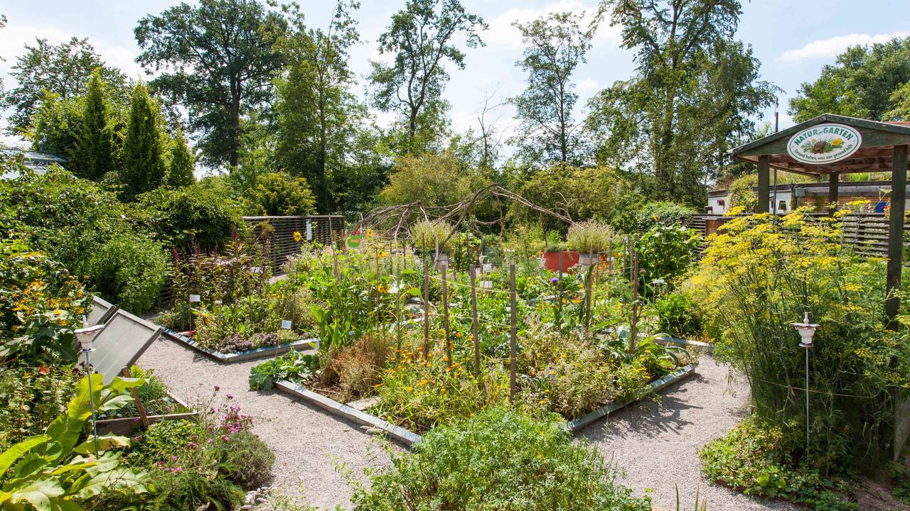 die garten tulln donau niederosterreich
