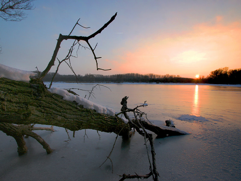 Nationalpark Donau-Auen im Winter © Nationalpark Donau-Auen / Kern
