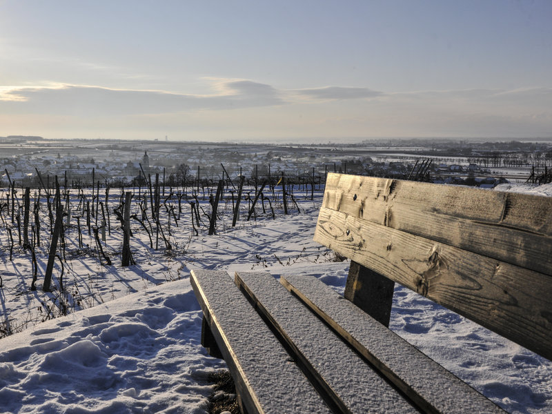 Winterlandschaft an der Weinstraße Kamptal bei Straß
