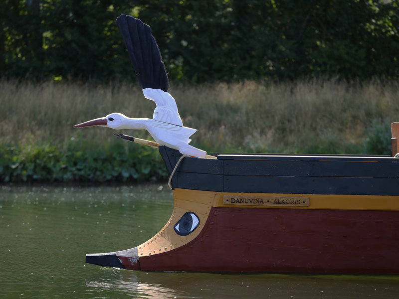altes Holzboot, wegfliegender weiß-schwarzen Vogel