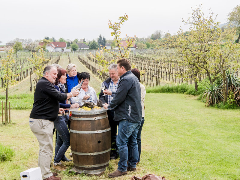 Weinfrühling im Kamptal, Kremstal & Traisental 