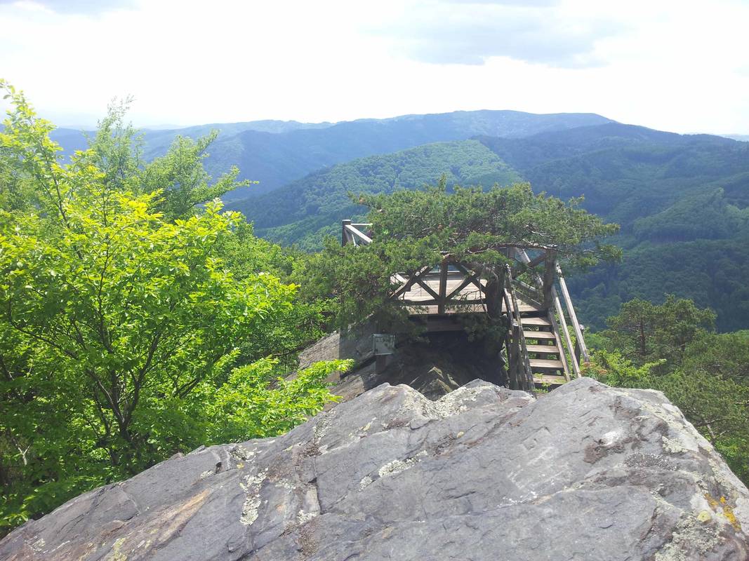 Gruberwarte