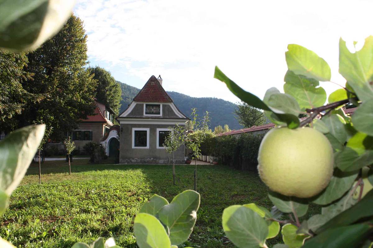 Gartenansicht im Bioweingut Schmidl