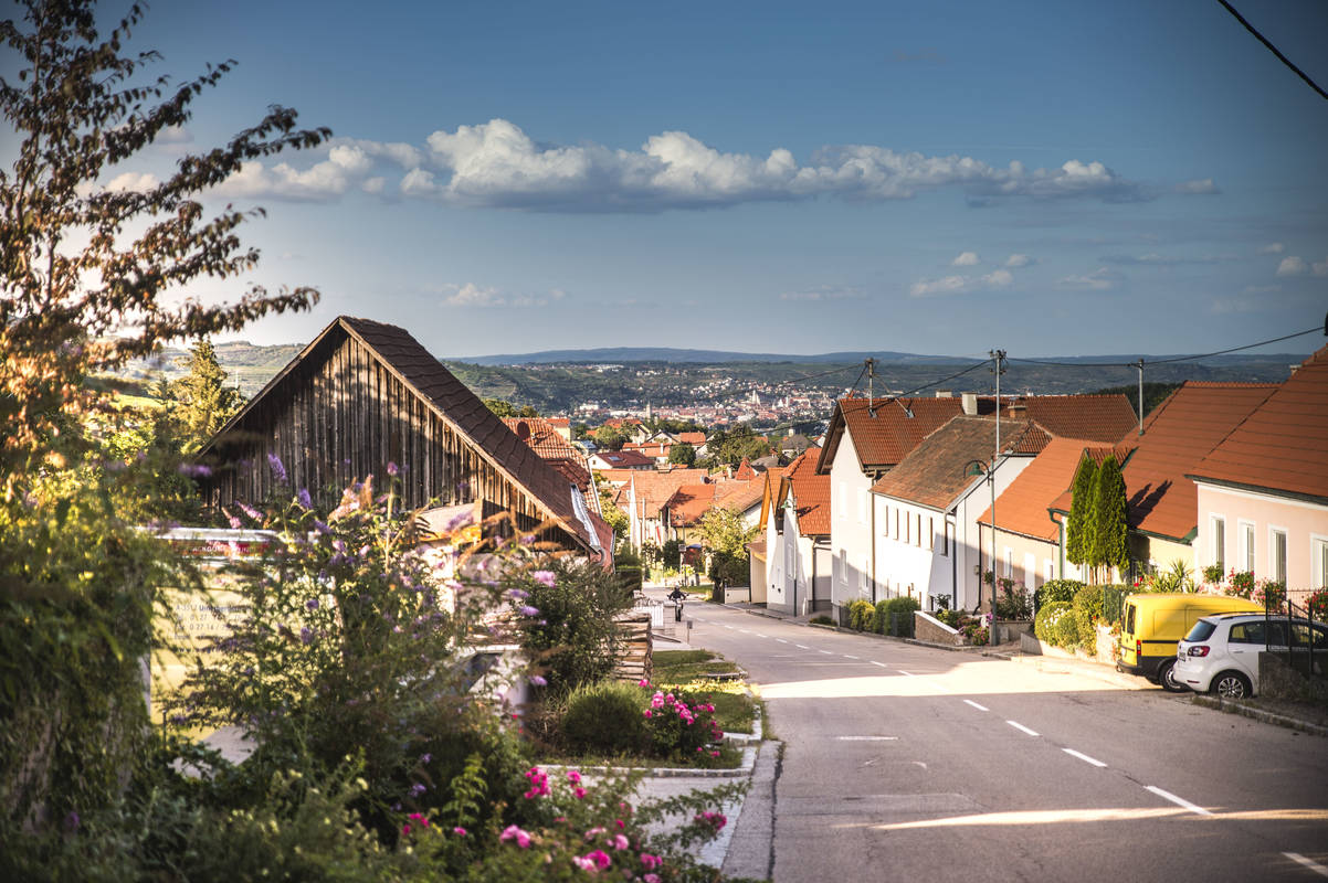 Bergern im Dunkelsteinerwald Donau Niederösterreich