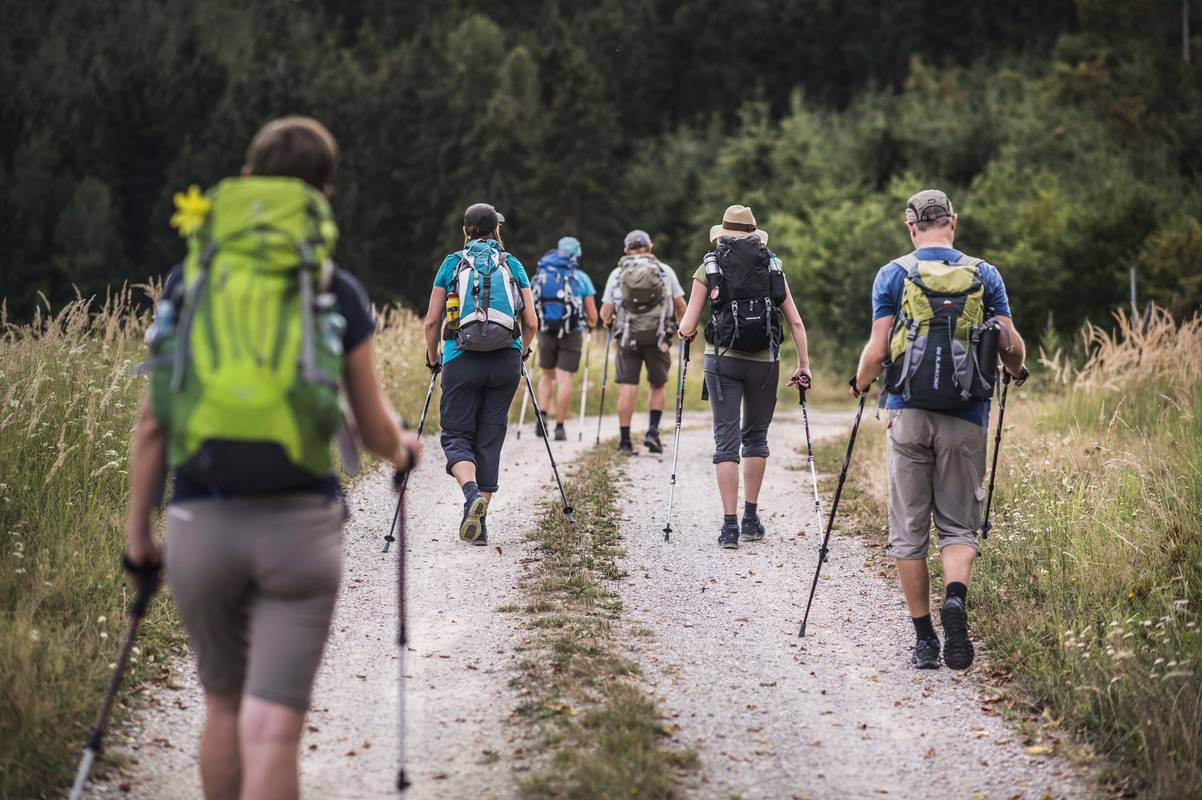 Bergern im Dunkelsteinerwald Donau Niederösterreich