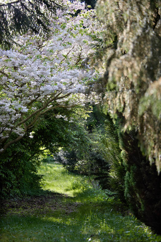 Natur_im_Garten