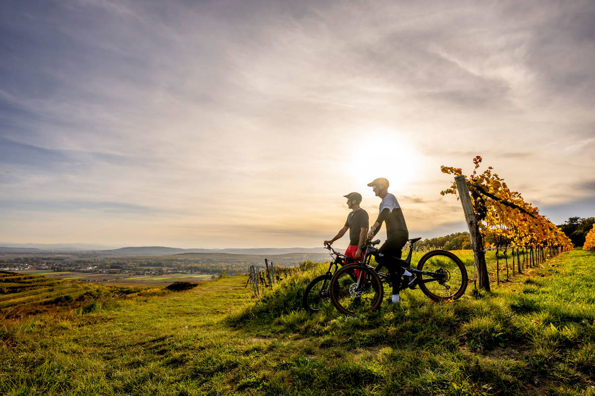 Geführte Mountainbiketour 