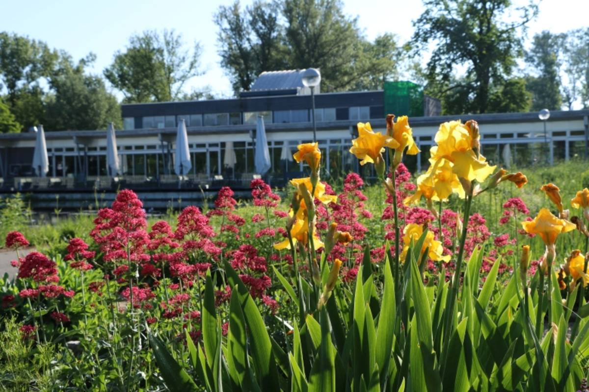 DIE GARTEN TULLN Donau Niederösterreich