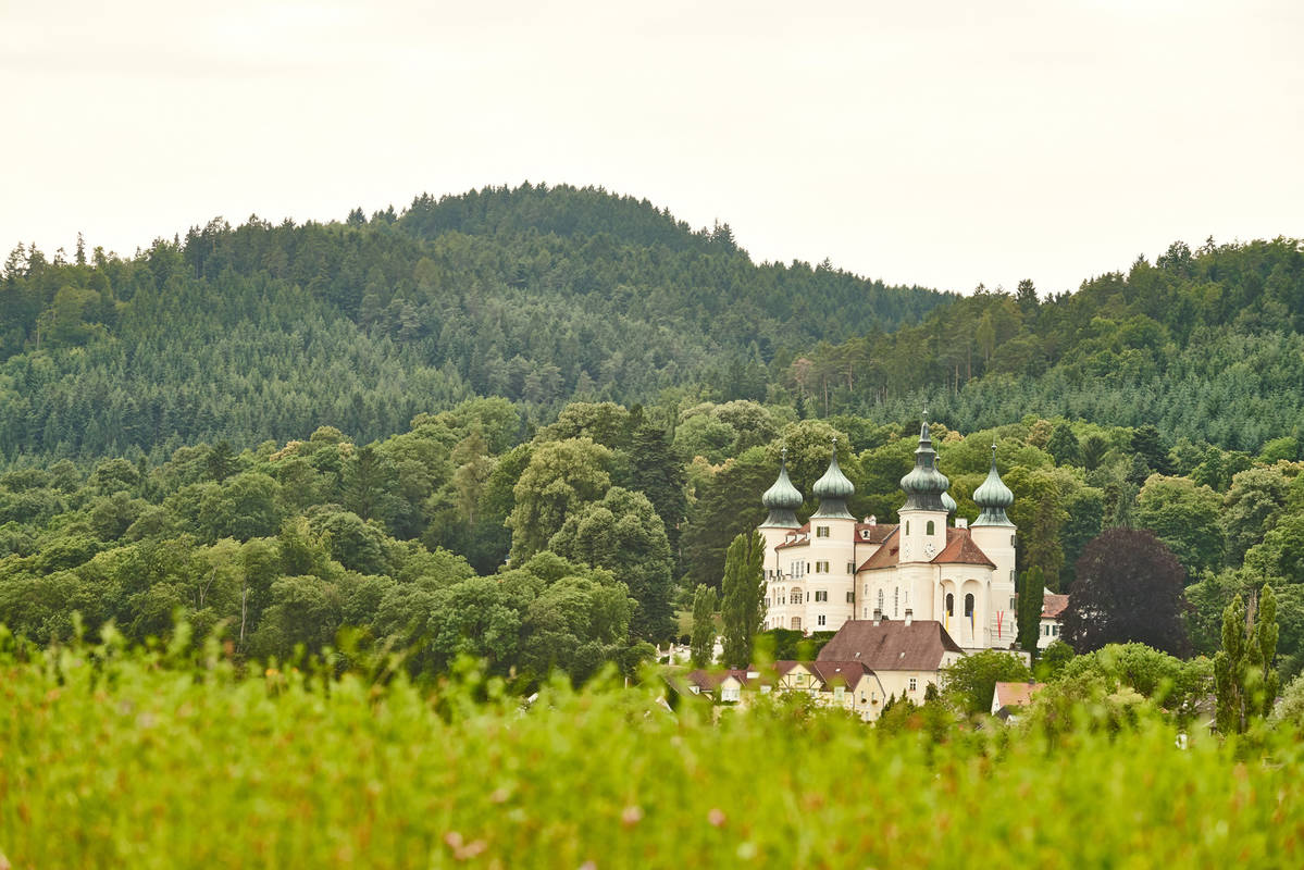 ArtstettenPöbring Donau Niederösterreich