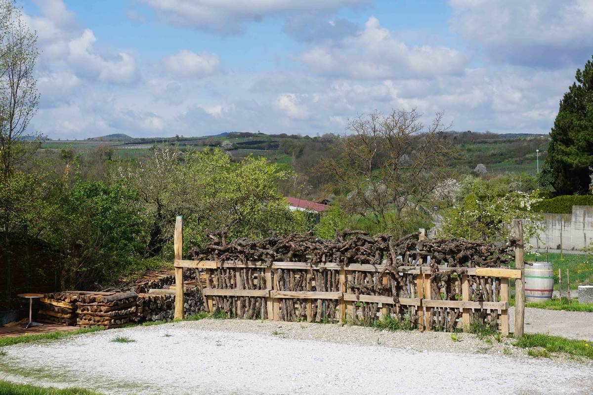 Stellplatz beim Weingut Czipin