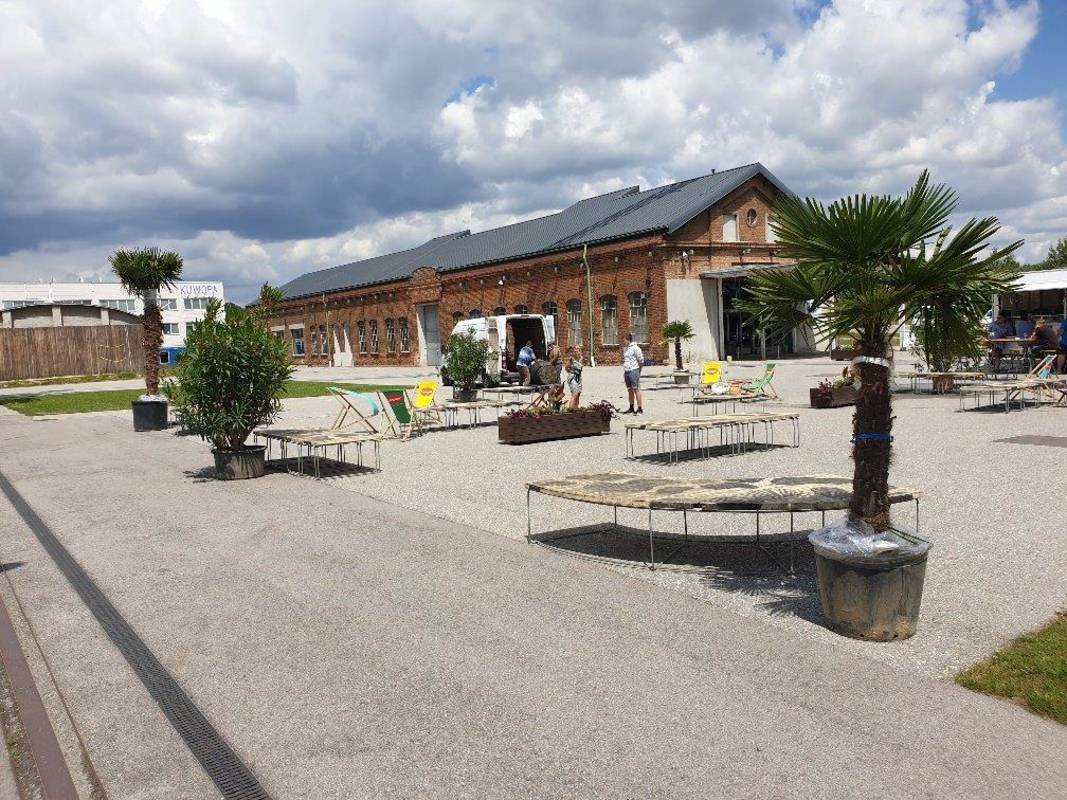 td-korneuburg-donau-werftbad-gastro-chill-area-palmen-c-sefko