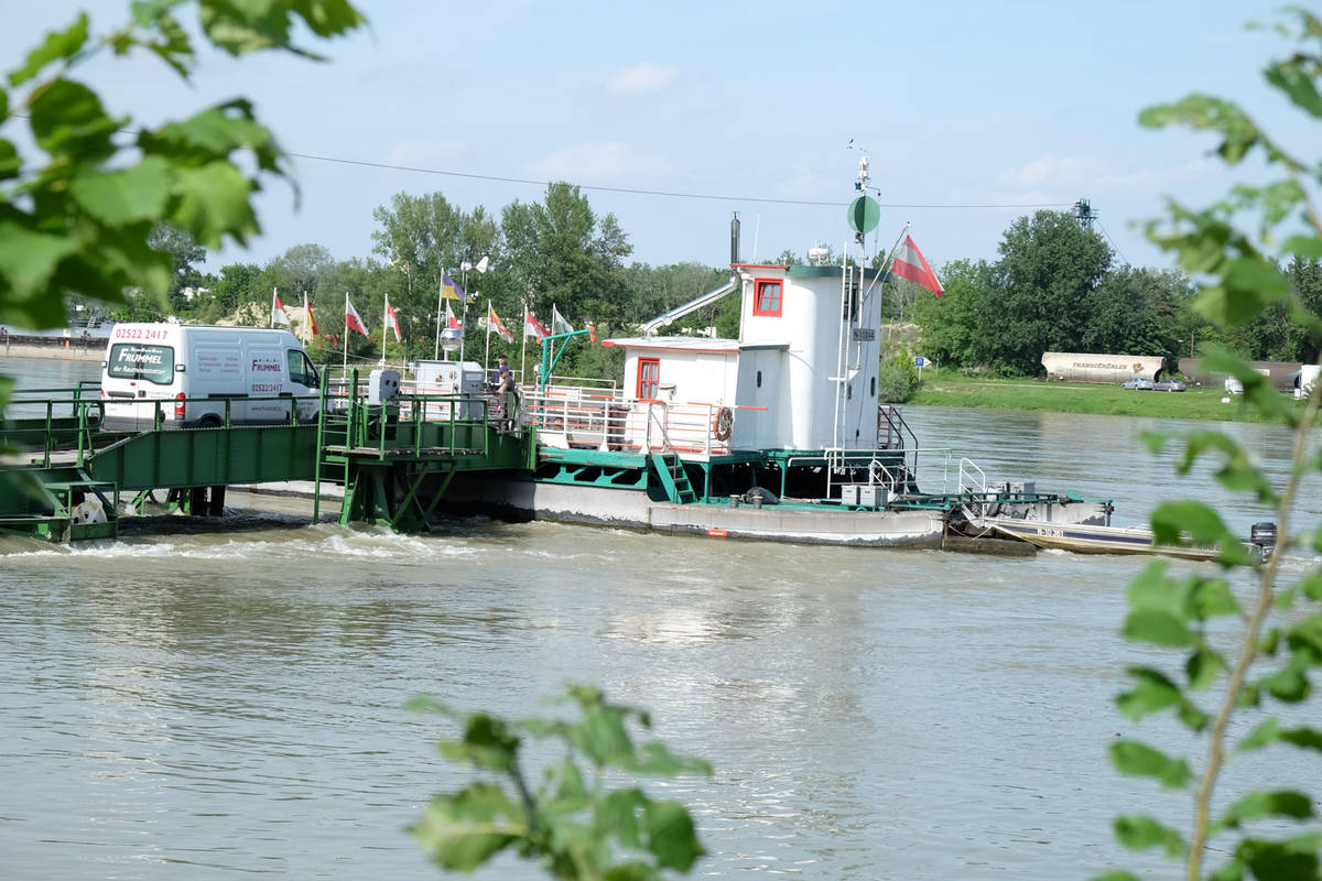 Donau Rollfähre bei Korneuburg-Klosterneuburg
