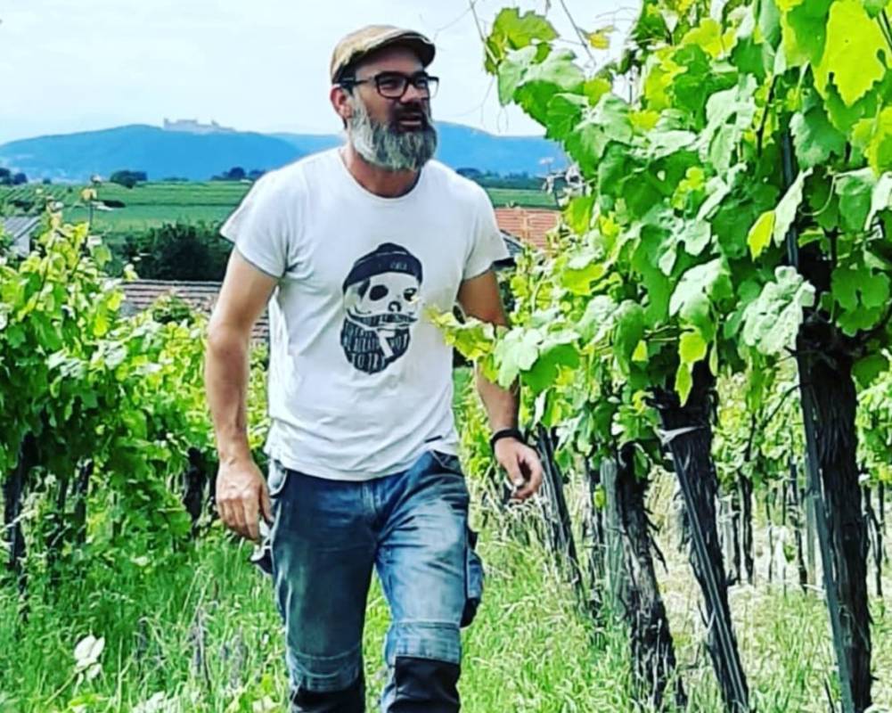 Alex Zöller bei der Weingartenkontrolle