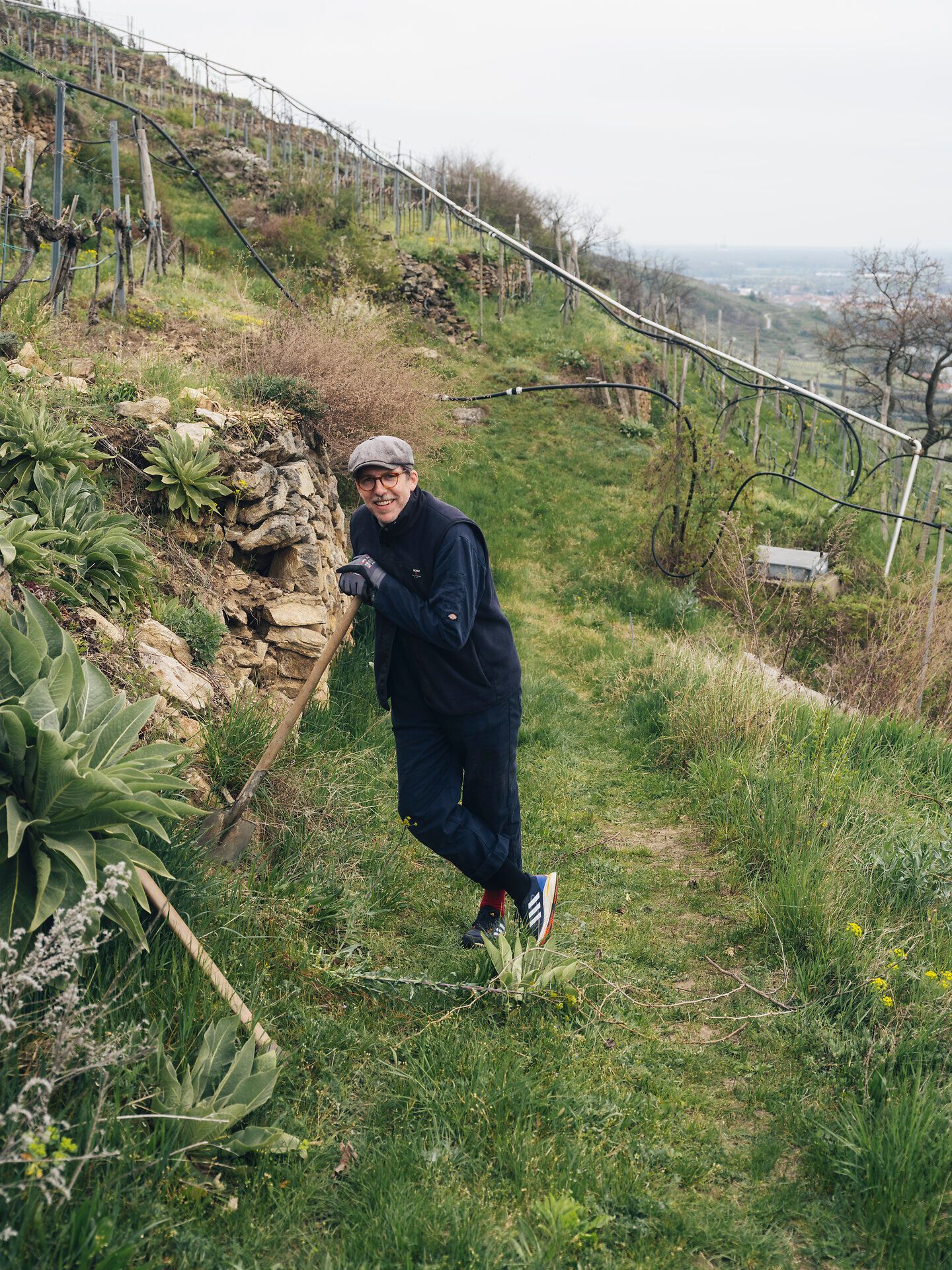 Mann arbeitet mit Werkzeug an einer Trockensteinmauer im Weingarten; rundherum stehen Rebzeilen am Hang, im Hintergrund öffnet sich der Blick ins Tal.