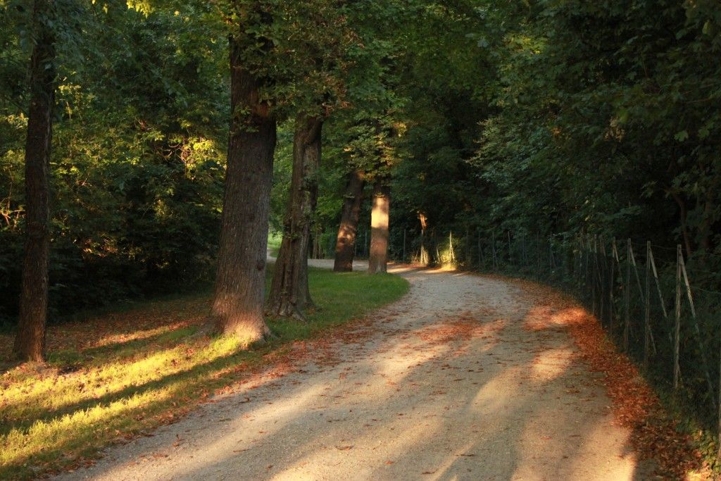 Harrachpark