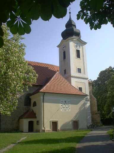 Pfarrkirche Zwentendorf mit Turm und Uhr, umgeben von Bäumen.