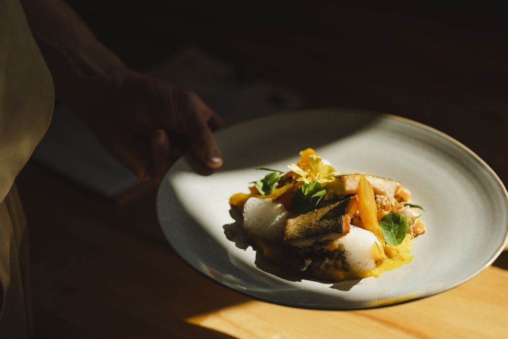 Gourmetgericht mit Fisch, Risotto und Kürbis auf grauem Teller.