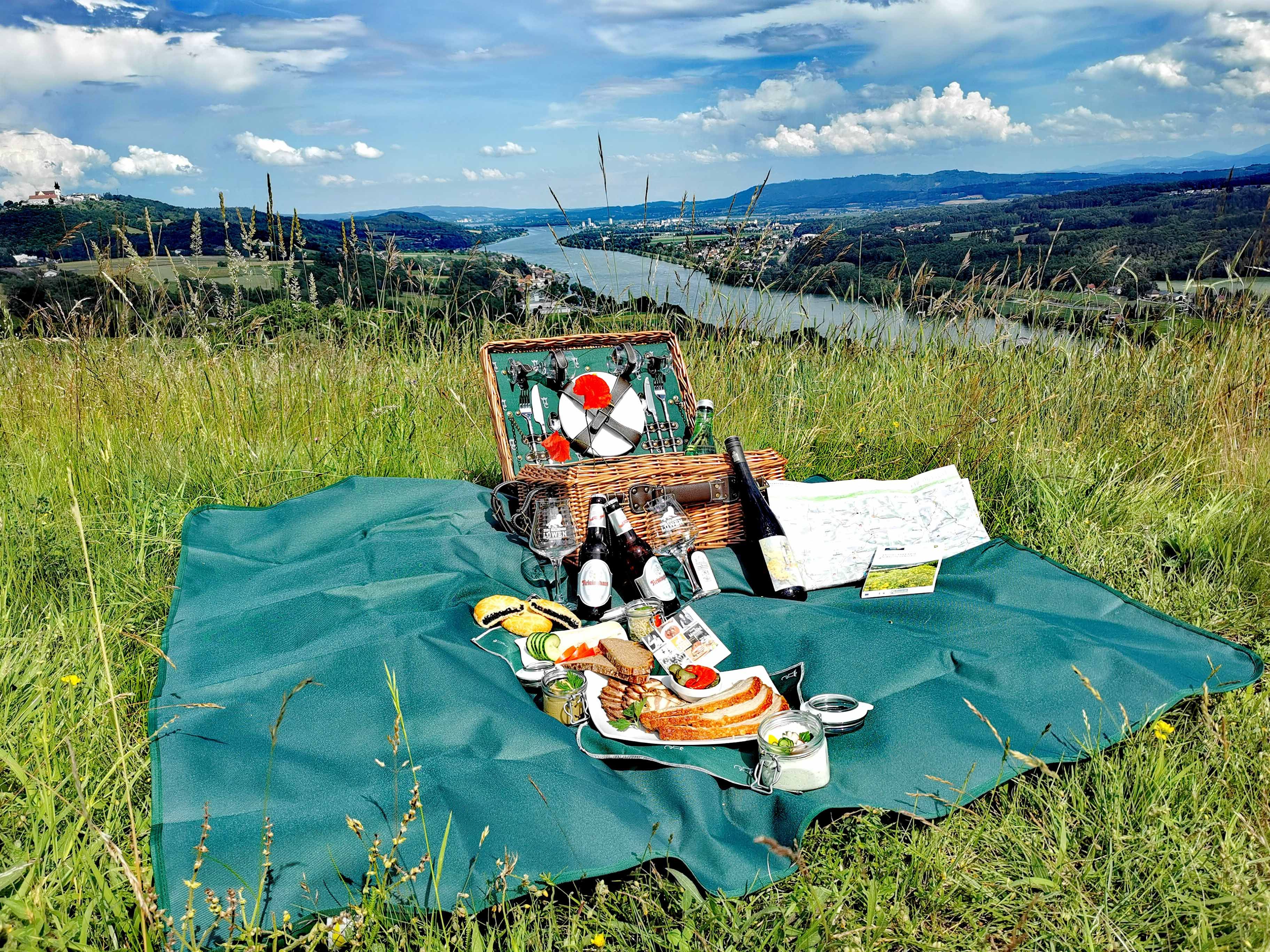 Eine grüne Decke in einer Wiese mit Speisen mit Ausblick auf die Donau