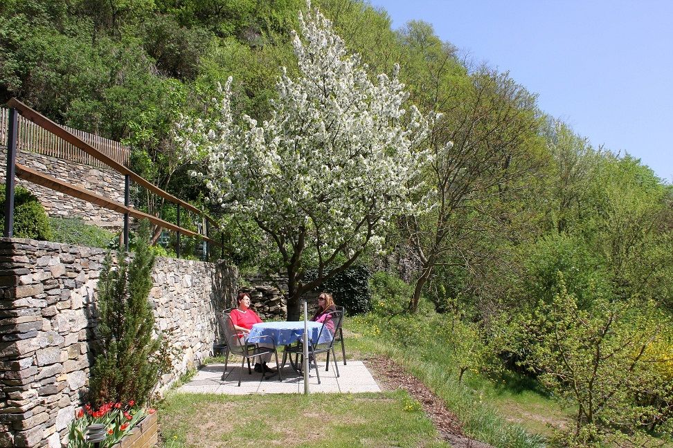 Zwei Personen sitzen an einem Tisch im Garten unter einem blühenden Baum.