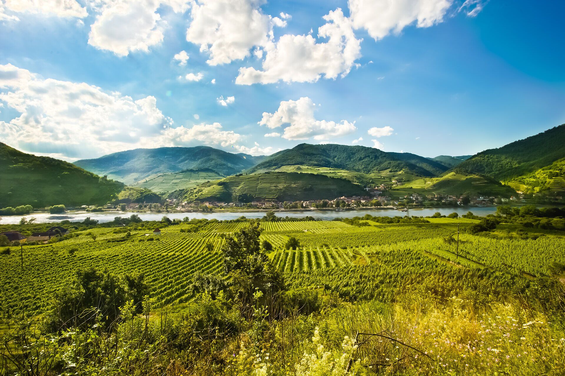 Die sanften Hügel der Weinlandschaft laden zu einem unvergesslichen Erlebnis ein. Die üppigen Weinreben erstrecken sich bis zum Horizont und bieten atemberaubende Ausblicke auf die glitzernde Wasseroberfläche des Flusses. Hier, wo die Natur und die Kultur harmonisch verschmelzen, wird jeder Besuch zu einem Fest für die Sinne.