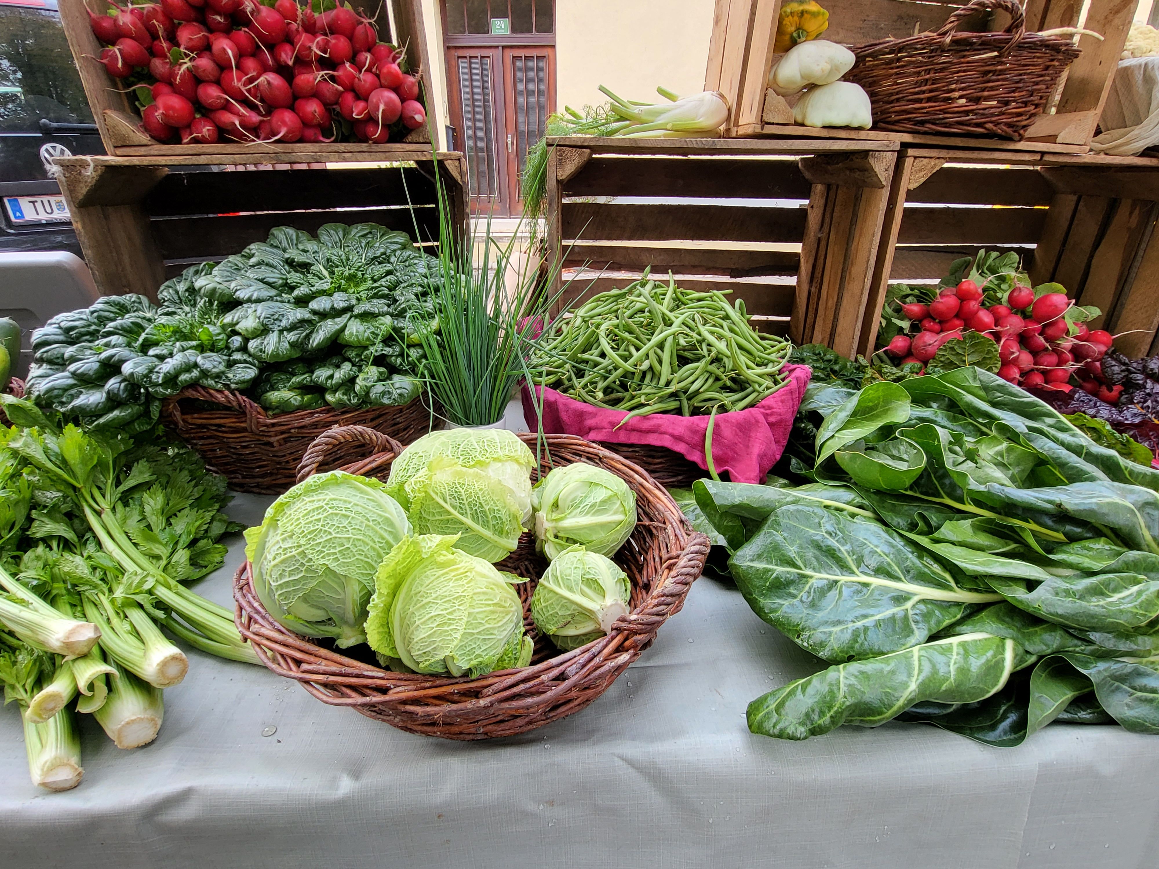 Gemüse direkt vom VFeld