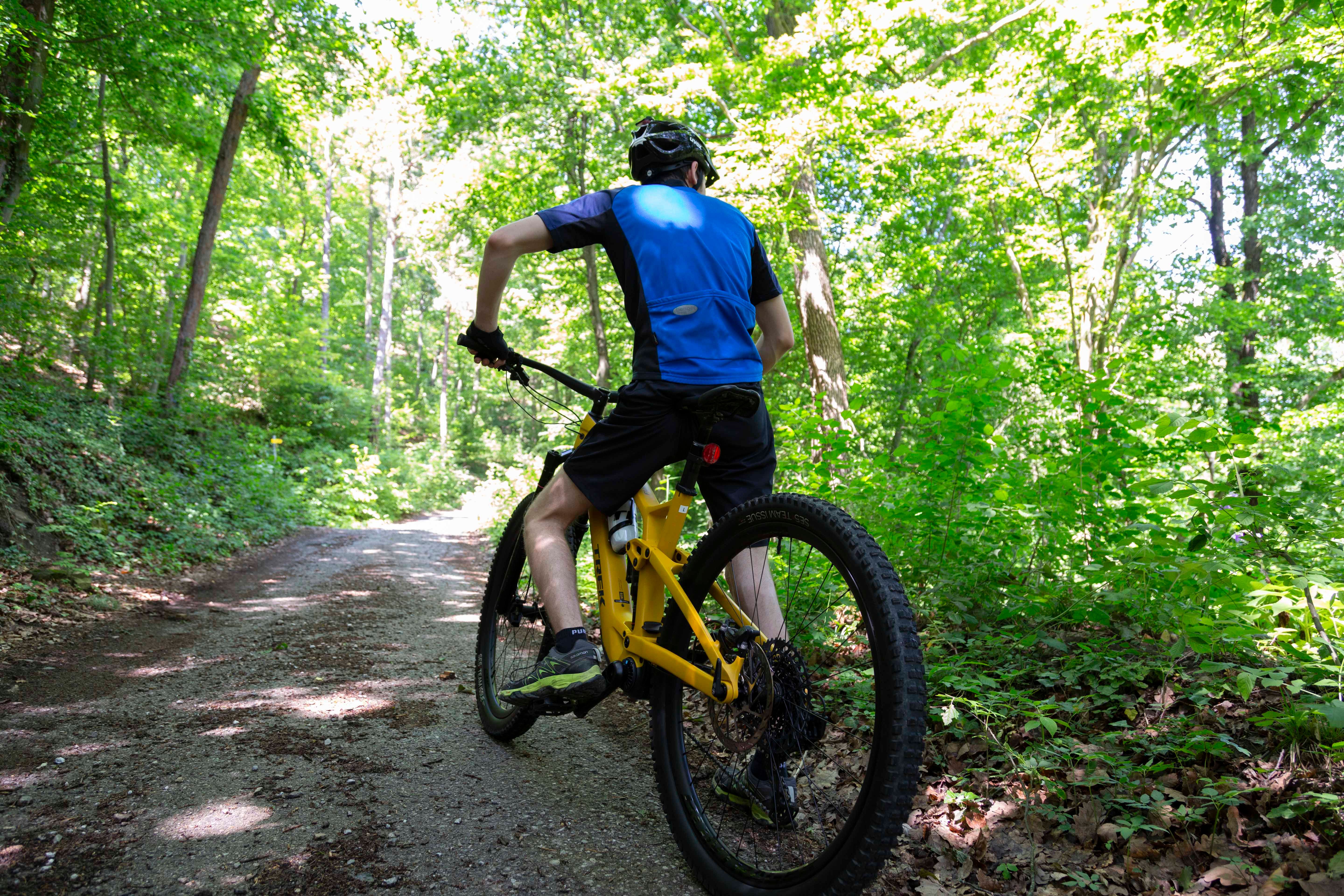 MTB-Bikder mit gelbem Bike und blauem Trikot am Waldweg