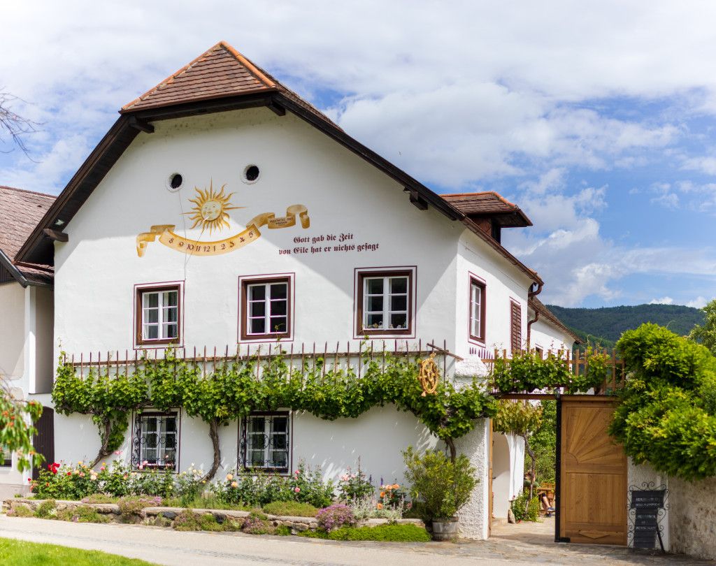 Weinhauer Brustbauer