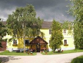 Gelbes Haus mit Holzdach und Garten, umgeben von Bäumen.