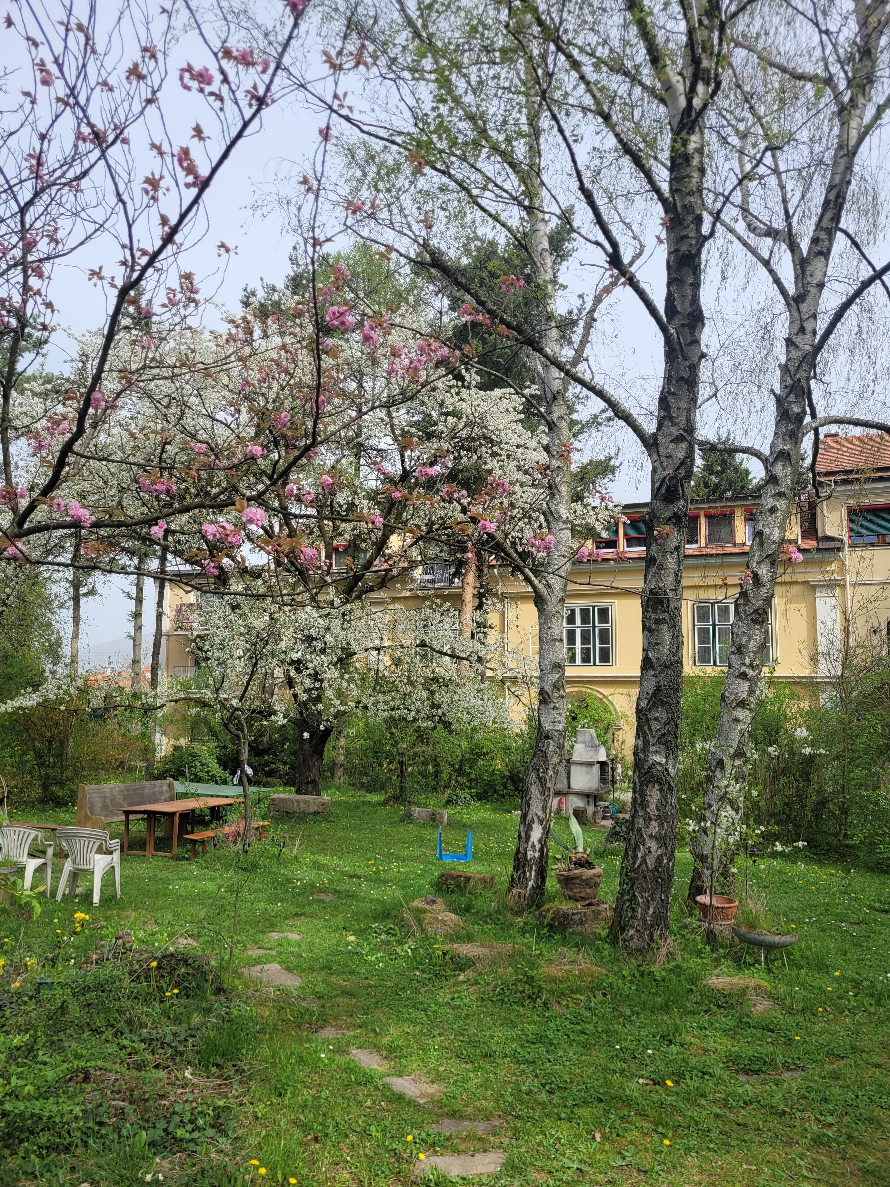 Villa Pannonica Wolfsthal, Garten mit Bäumen