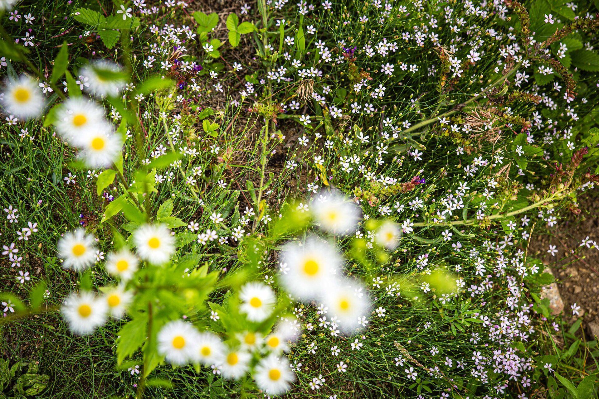 Domäne Wachau©PamelaSchmatz-0151
