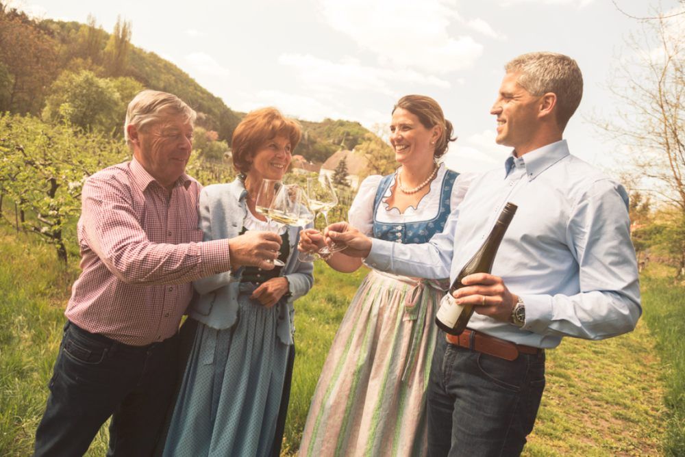 Vier Personen stoßen mit Weingläsern in einem Weinberg an.