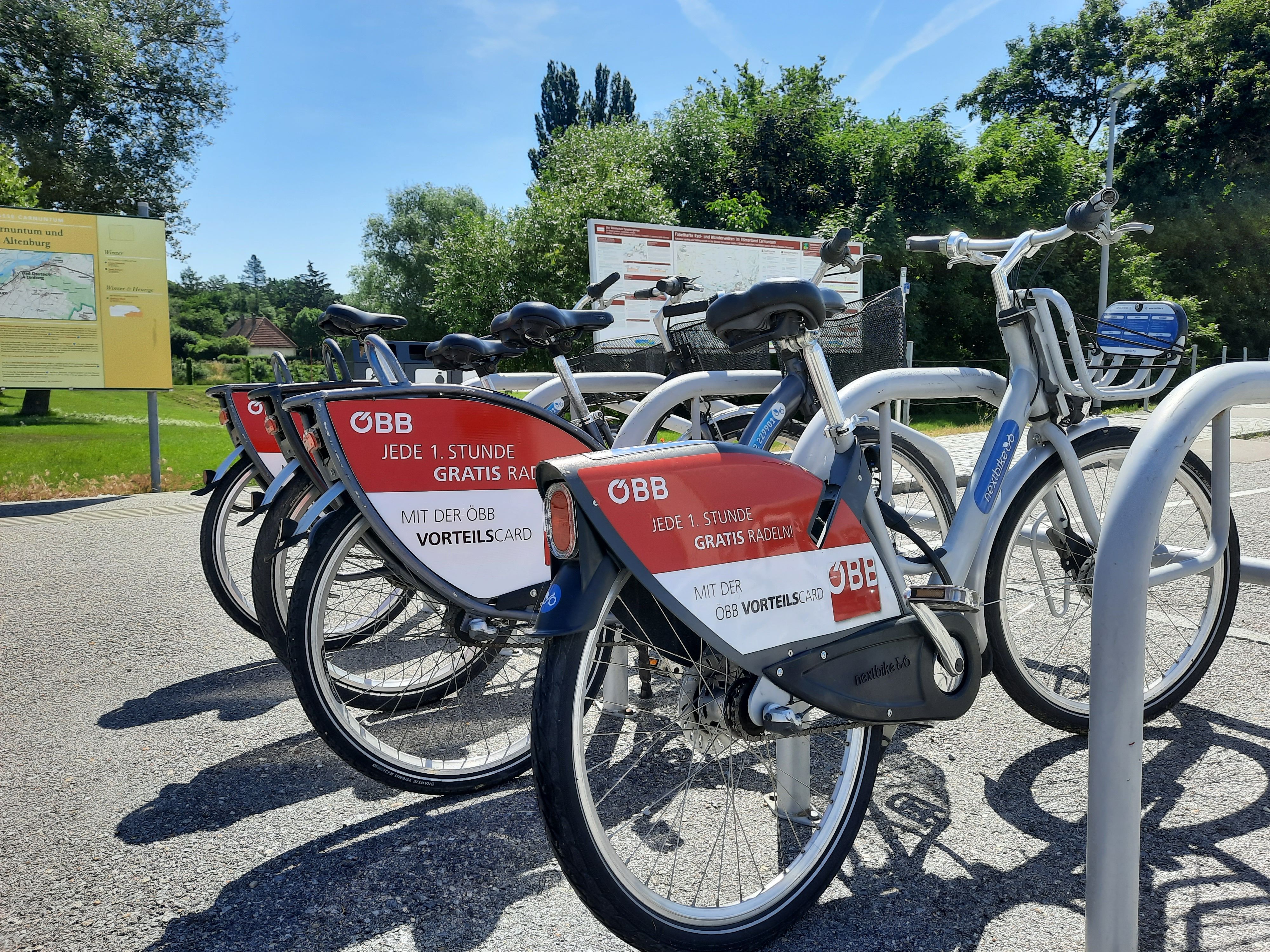 Mehrere Fahrräder einer Nextbike-Verleih-Station