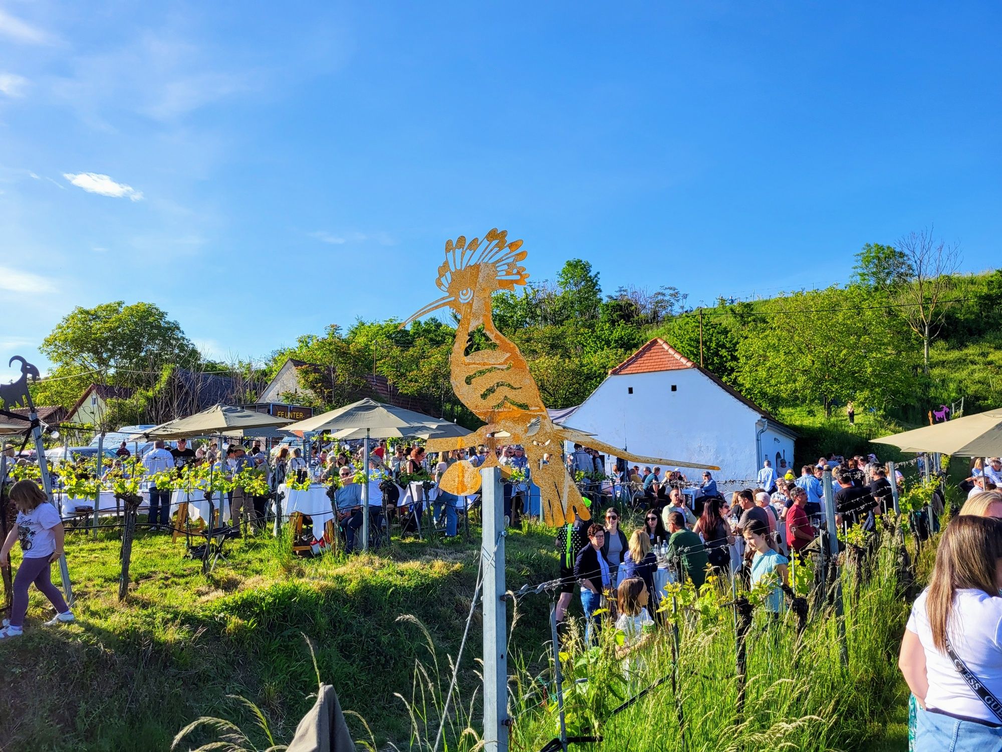 Weinkeller in Engelmannsbrunn, Fest mit Livemusik