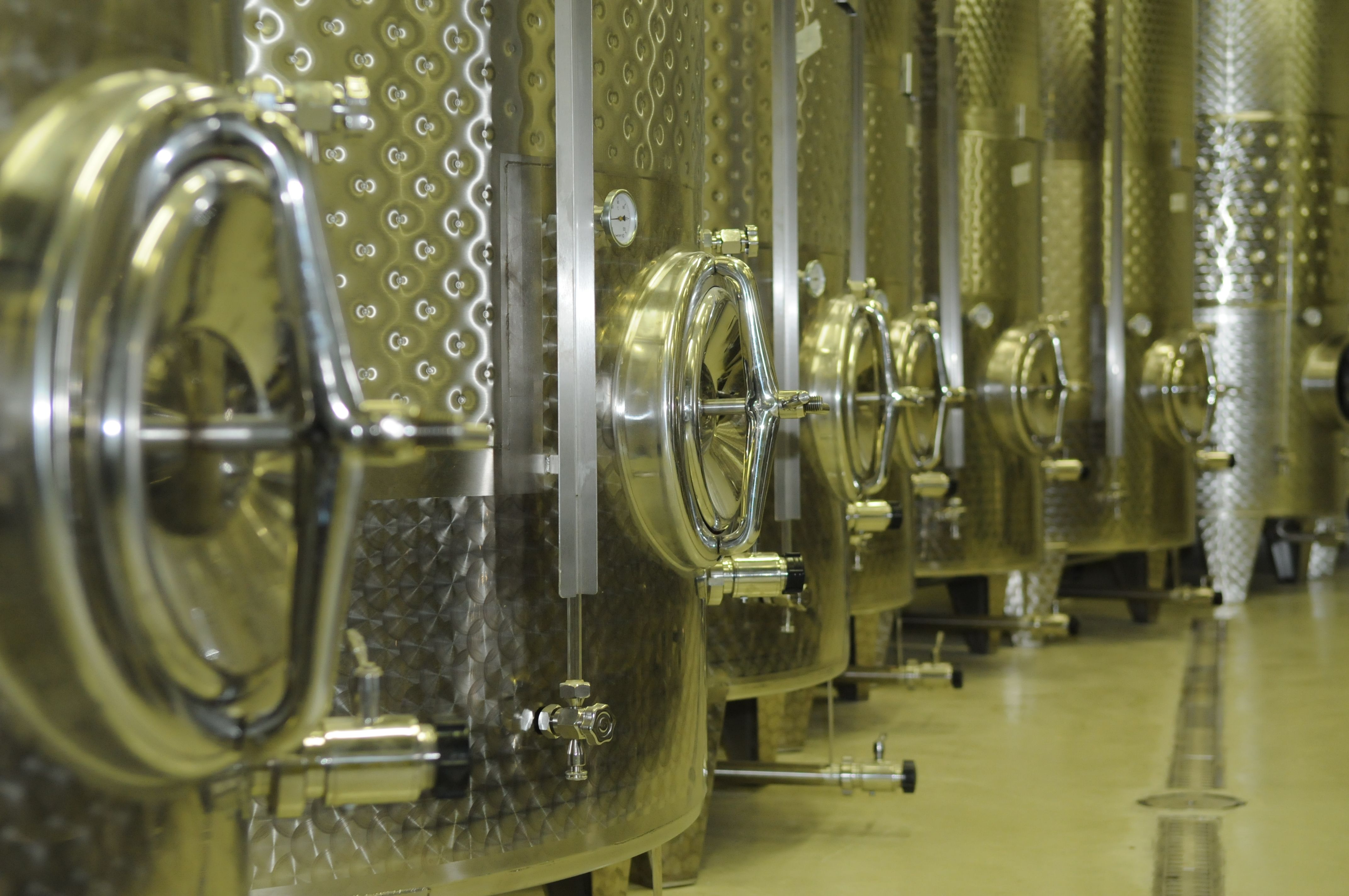 Reihe von Edelstahltanks in einem Weinkeller.