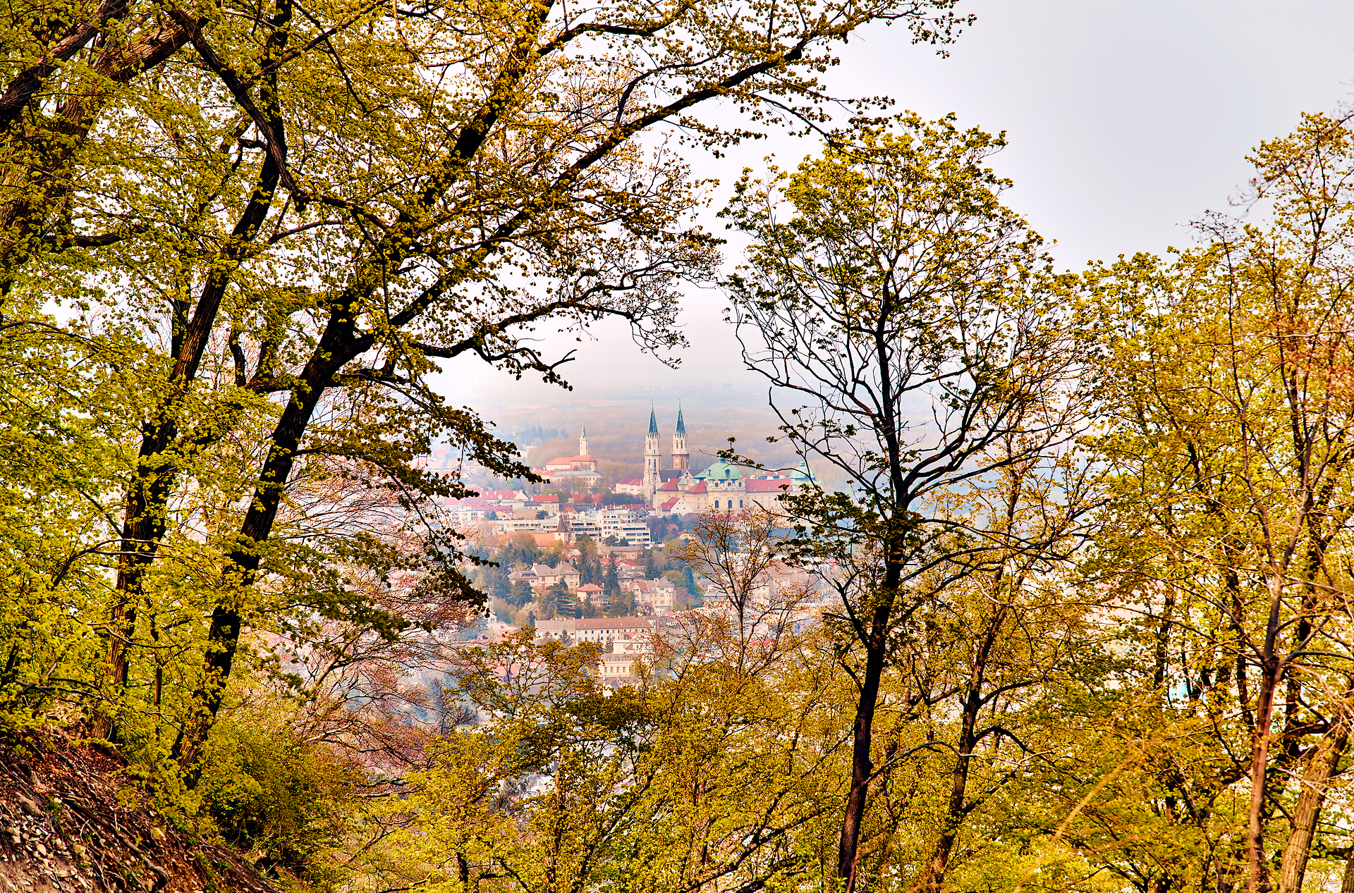 Die sanften Hügel des Wienerwaldes umarmen das beeindruckende Stift Klosterneuburg, während die bunten Blätter im Herbstwind tanzen. Ein malerischer Anblick, der die Seele berührt und zum Verweilen einlädt.