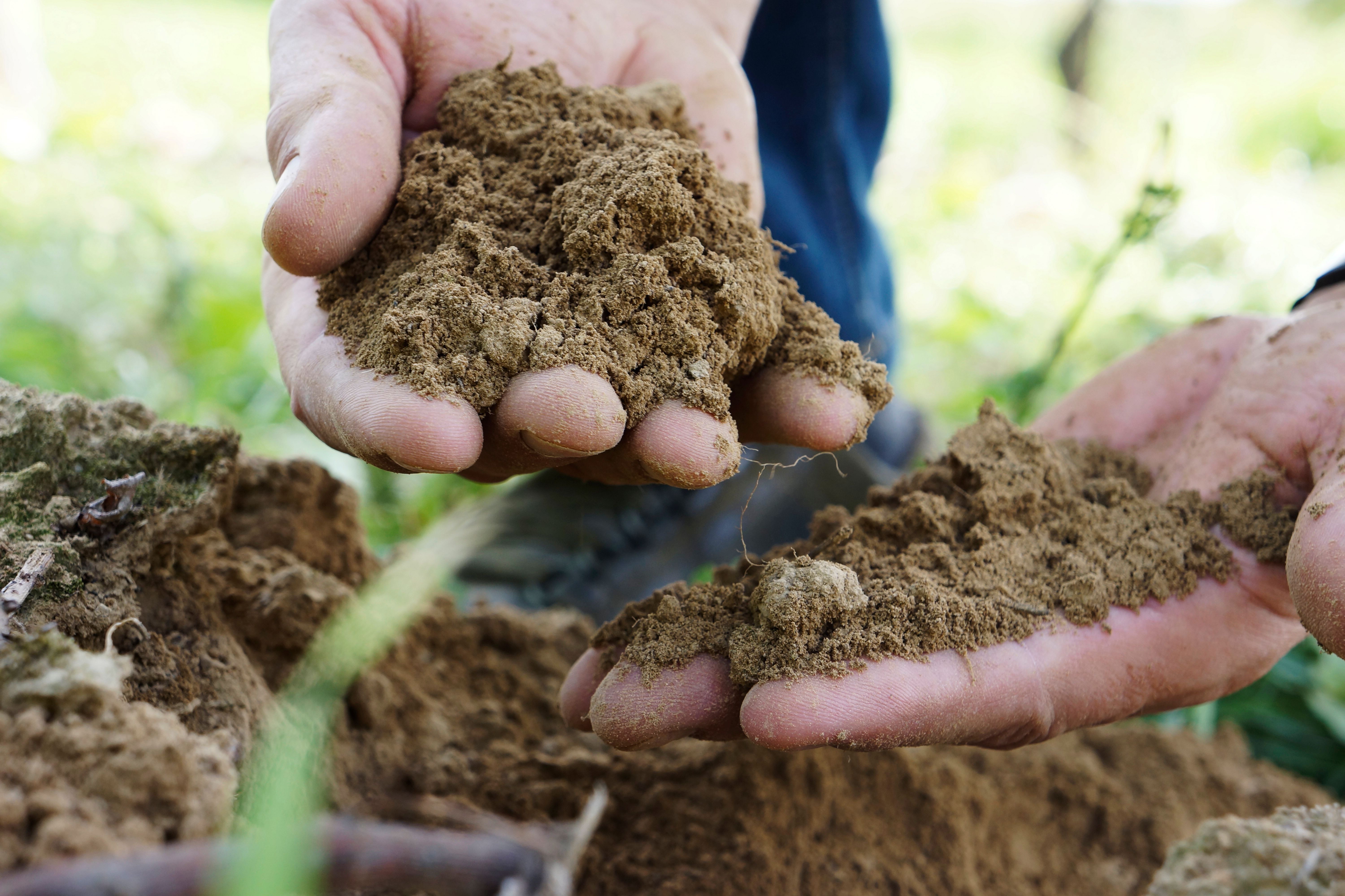 Eine Hand mit Erde.