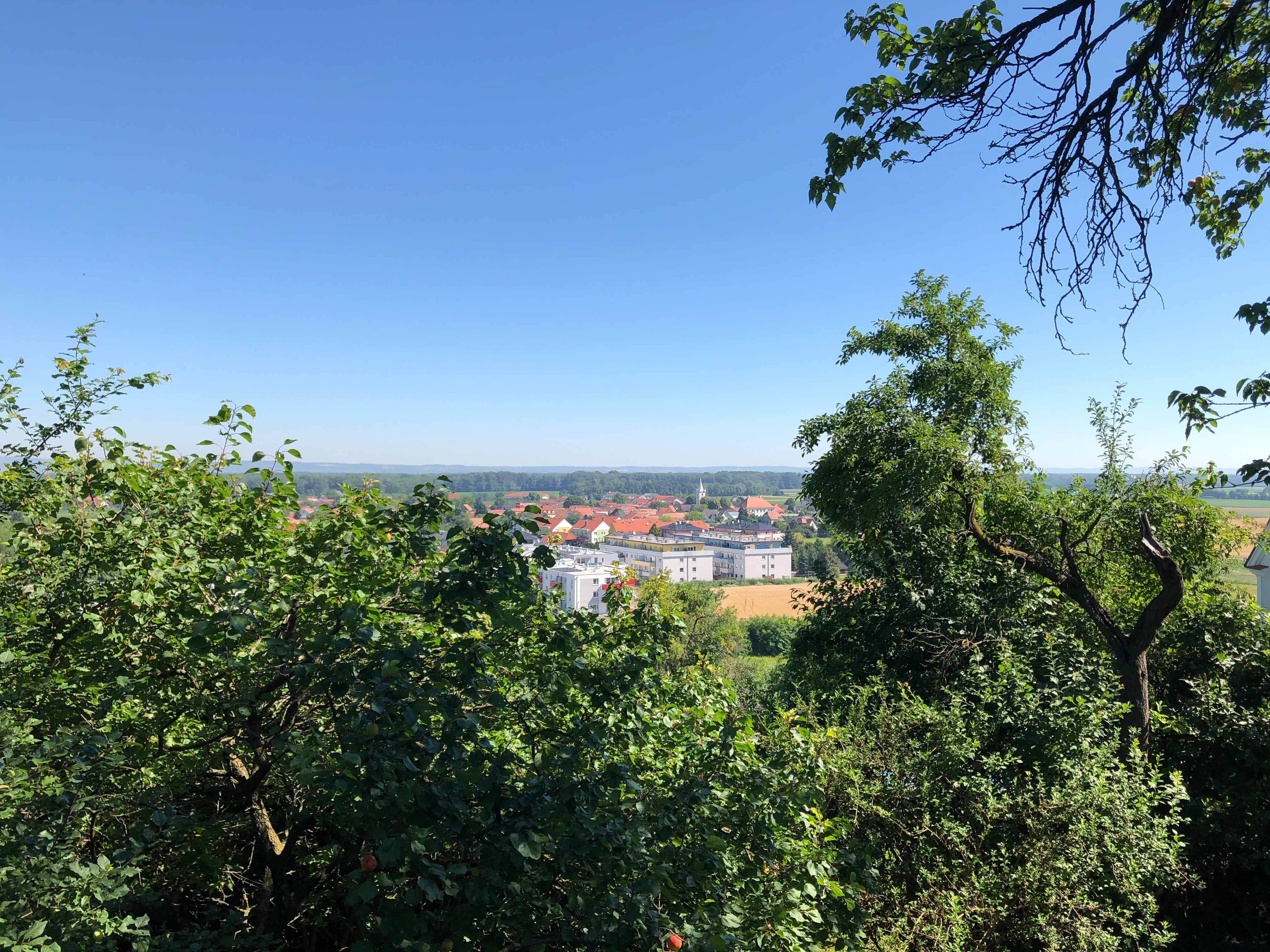Blick auf eine Stadt mit roten Dächern, umgeben von grünen Bäumen und blauem Himmel.