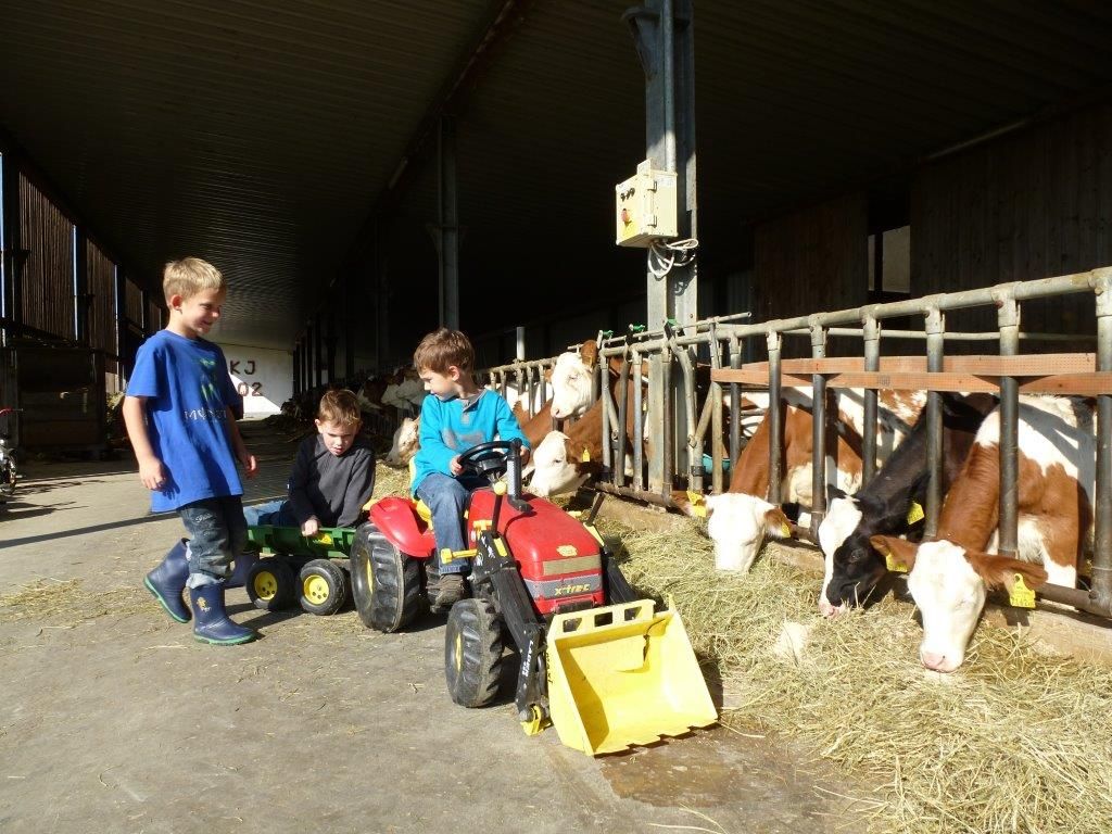Kinder spielen im Stall mit Spielzeugtraktoren neben Kühen.