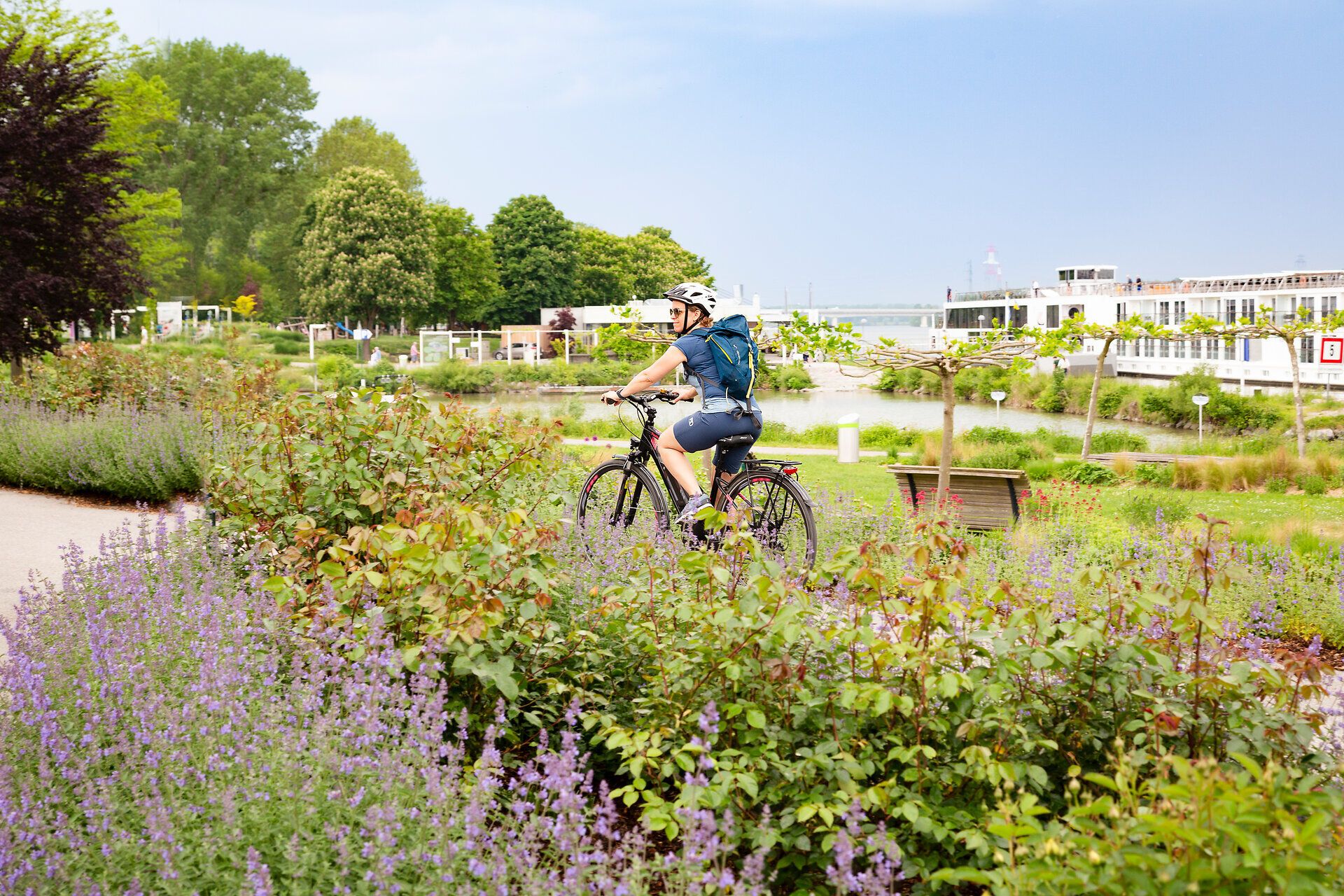 Radfahrerin fährt entlang der Donau.