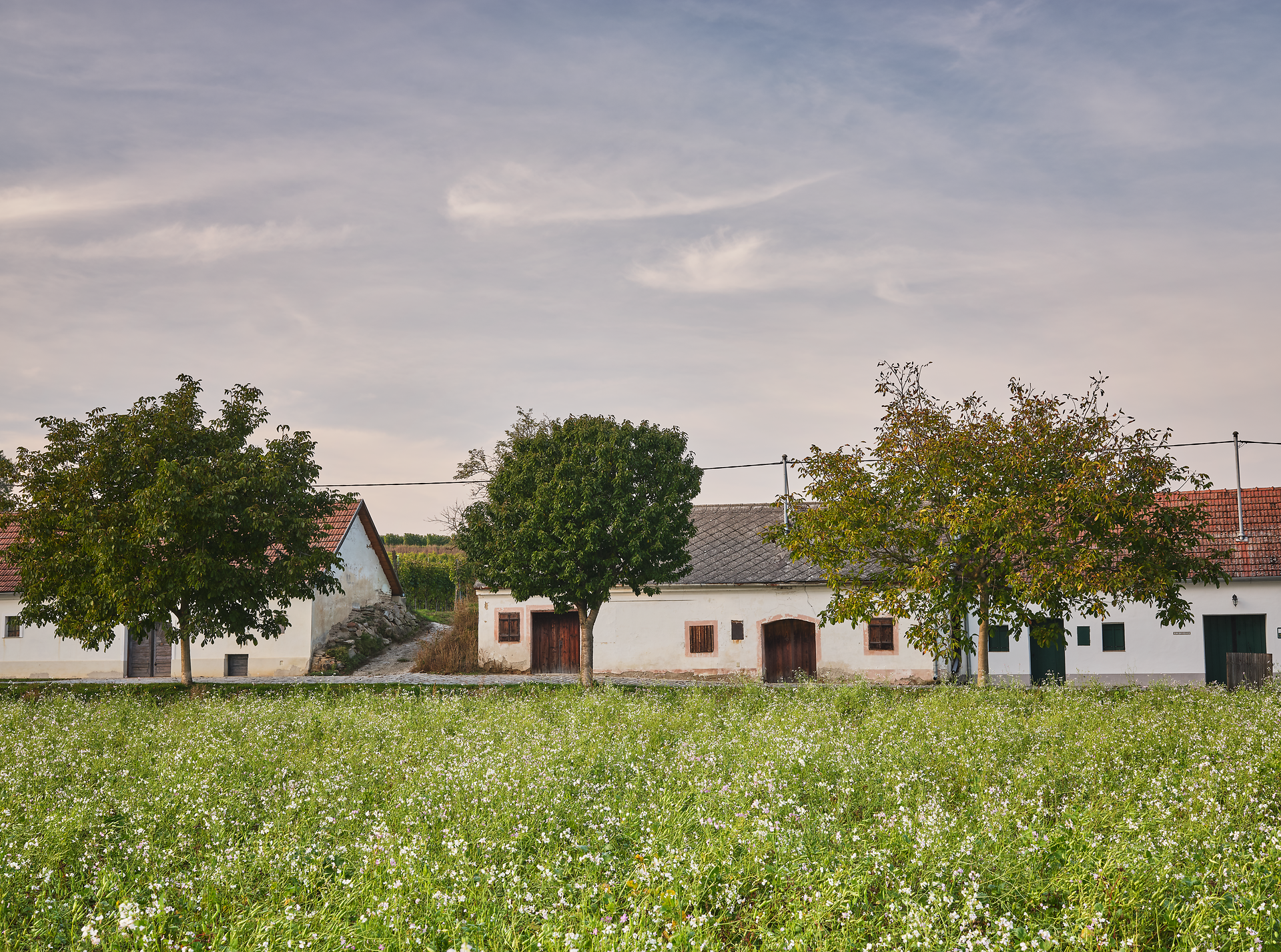 Inmitten der sanften Hügel erstreckt sich eine malerische Landschaft, in der die Weinreben in der warmen Sonne glänzen. Die charmanten, traditionellen Gebäude laden dazu ein, die regionale Gastfreundschaft zu entdecken und die köstlichen Weine zu genießen.