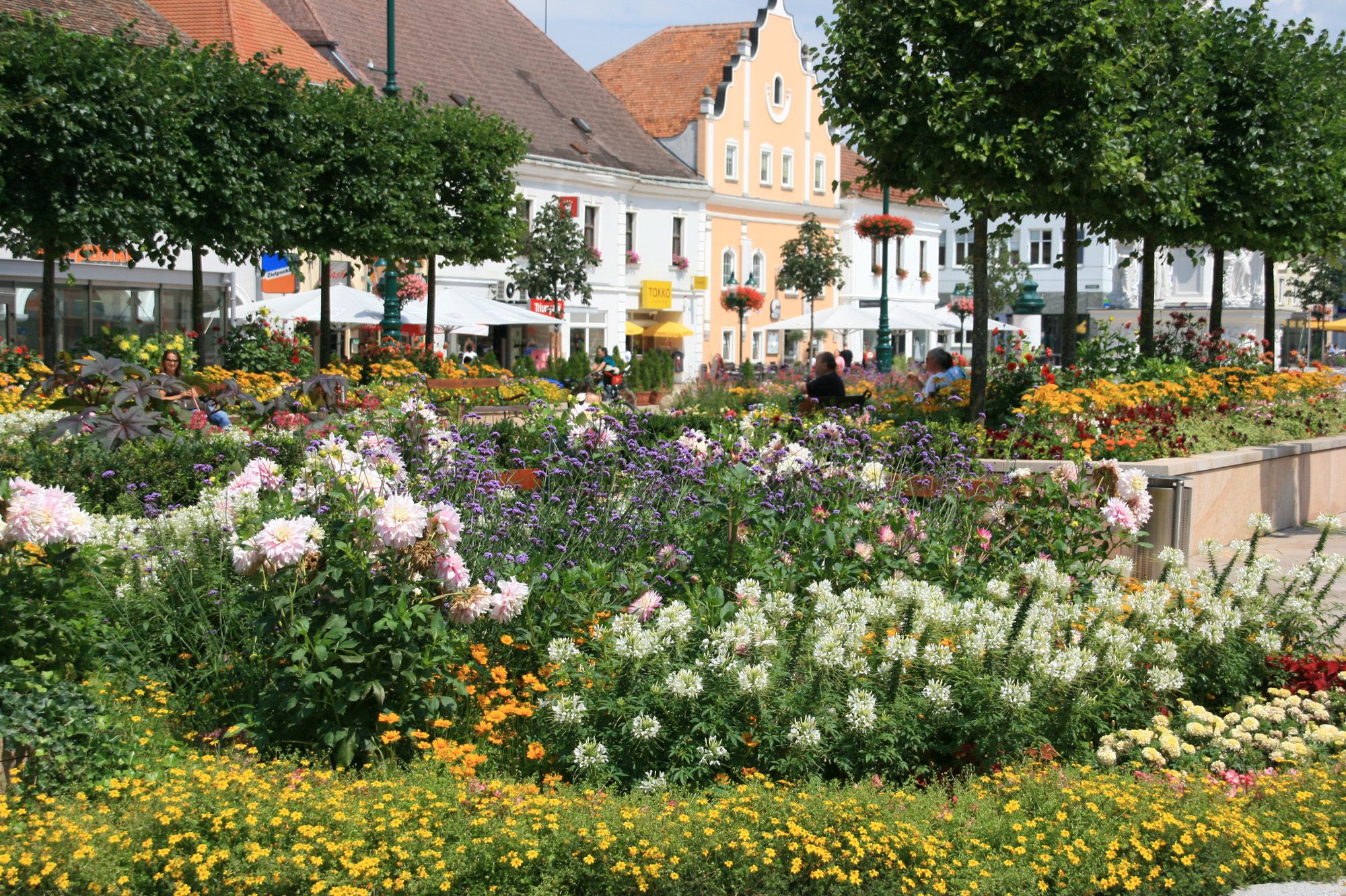 Blumenbeete und Gebäude am Hauptplatz in Tulln.