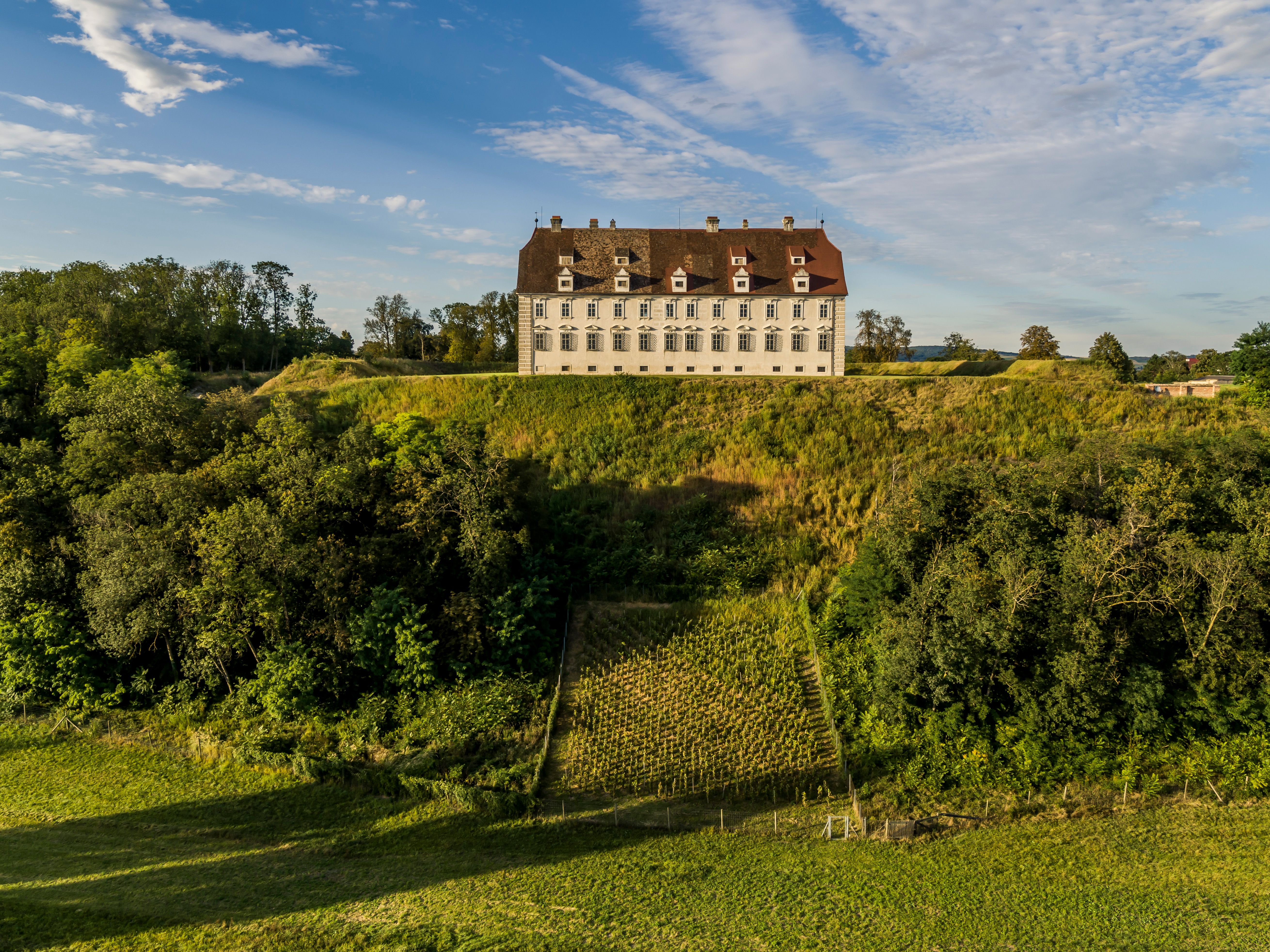 Schloss Stetteldorf auf einem bewaldetetn Hügel