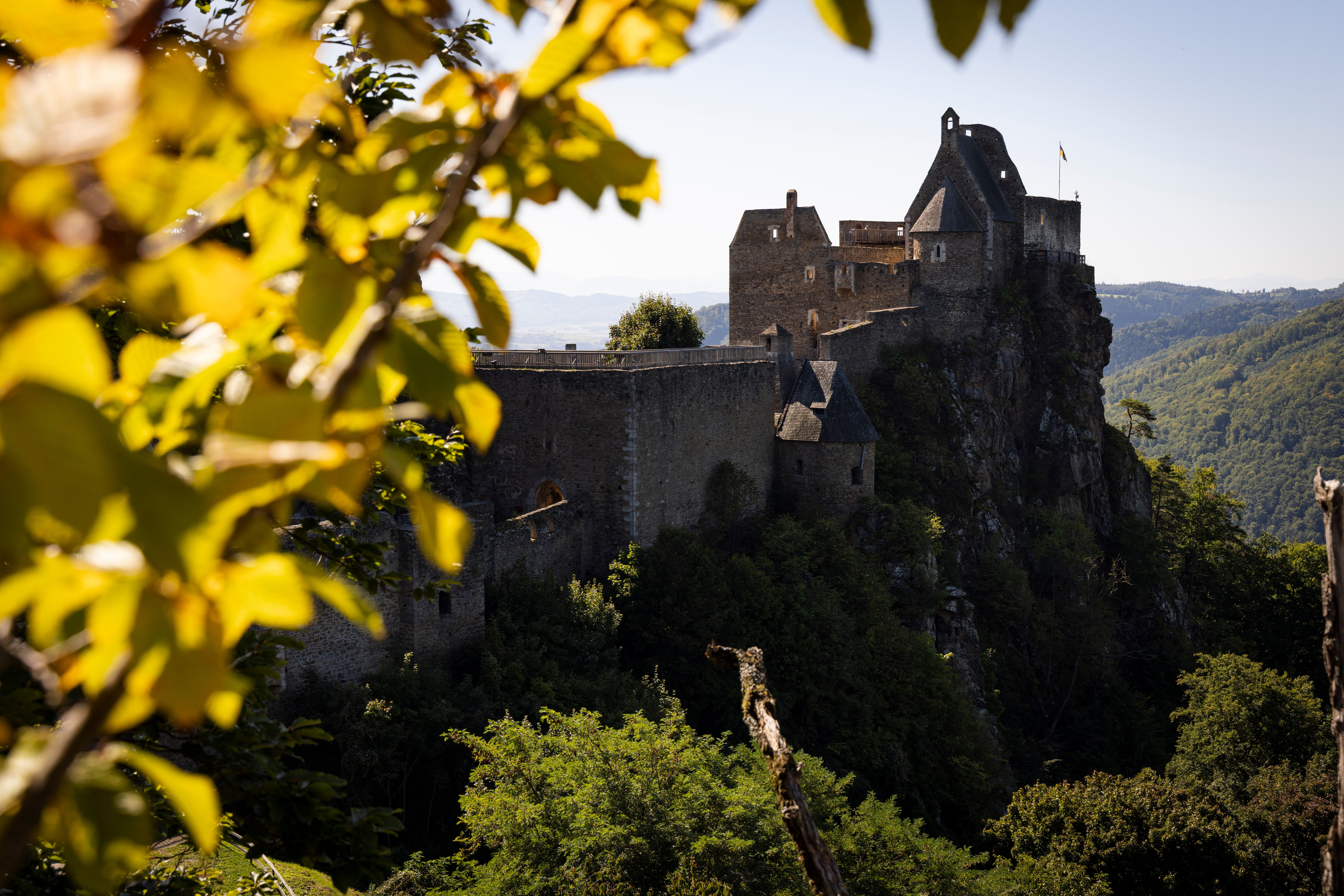 Ruine Aggstein in der Wachau mit Blätter im Vordergrund.