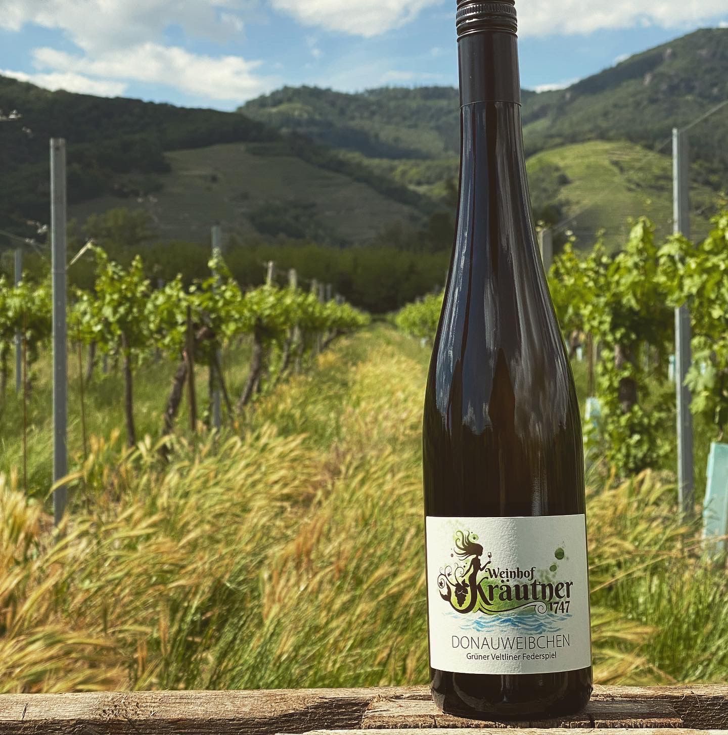 Weinhof Kräutner