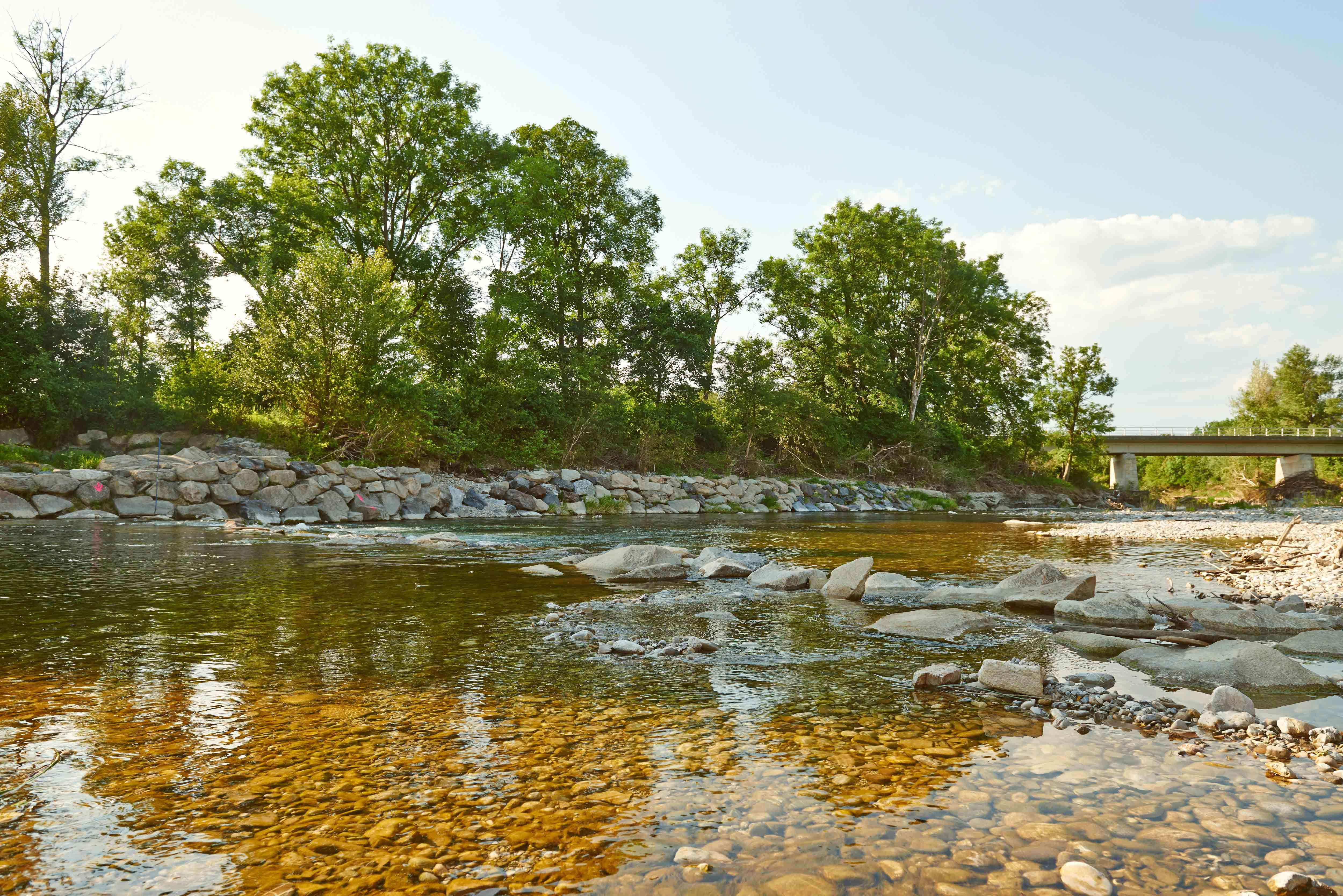 Fluss mit klarem Wasser, umgeben von Bäumen und einer Brücke im Hintergrund.