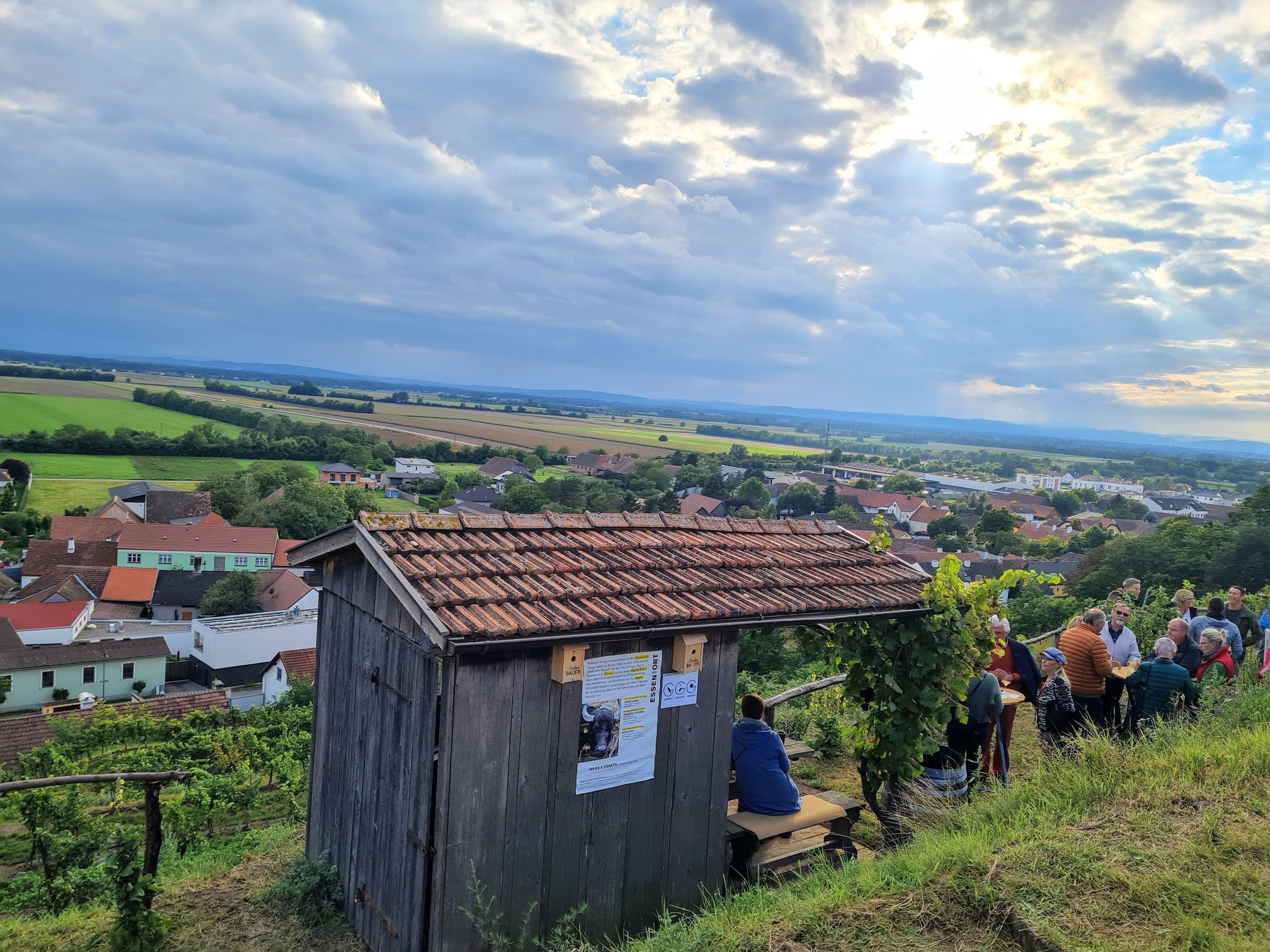Aussichtspunkt im Weingarten mit Blick über den Ort und die umliegende Landschaft.