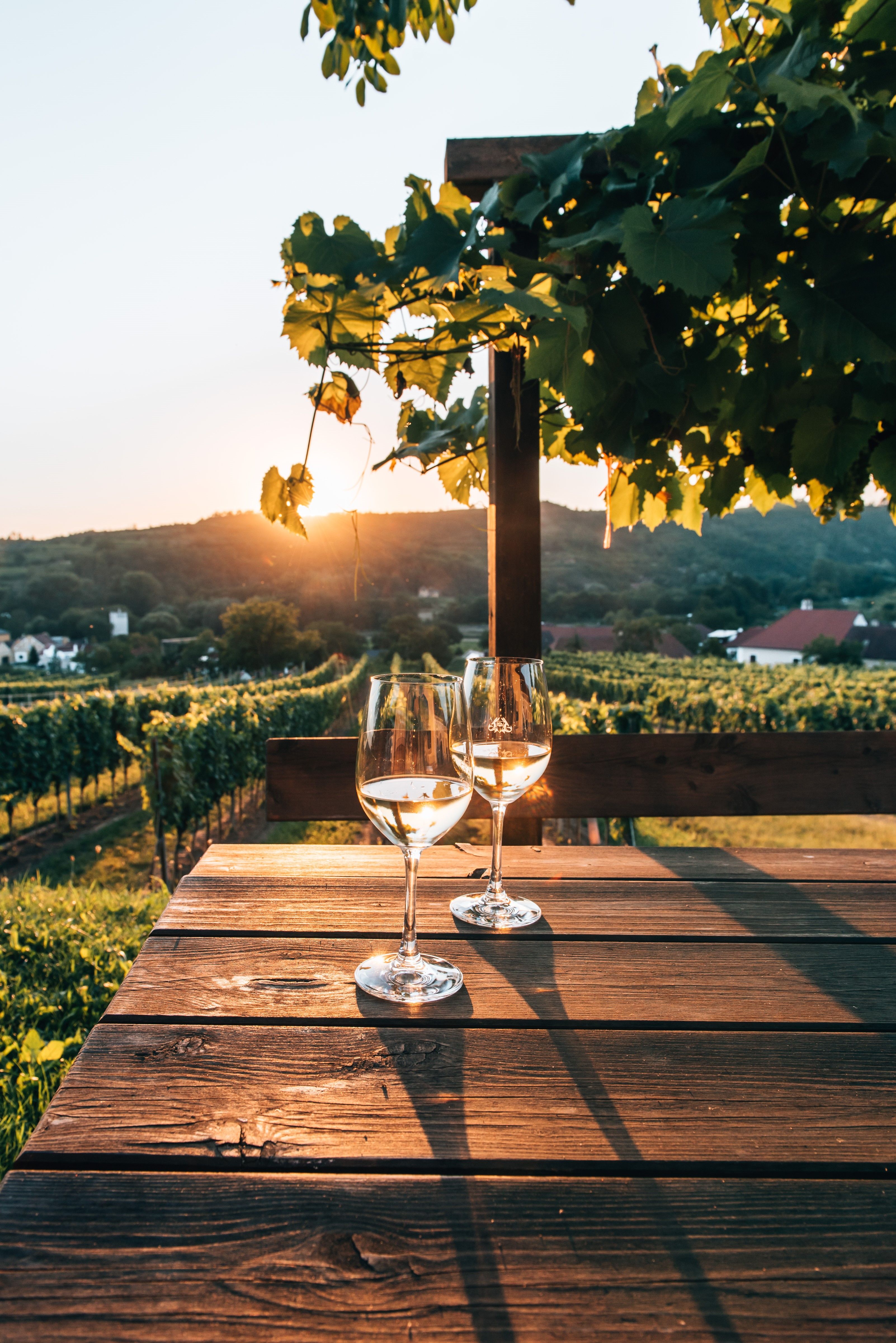 Genießen Sie den Anblick der sanften Hügel, die mit üppigen Weinreben bedeckt sind, während die Sonne sanft am Horizont untergeht. Zwei Gläser Wein auf einem rustikalen Holztisch laden dazu ein, die köstlichen Aromen der Region zu entdecken und den Sommer in vollen Zügen zu genießen.