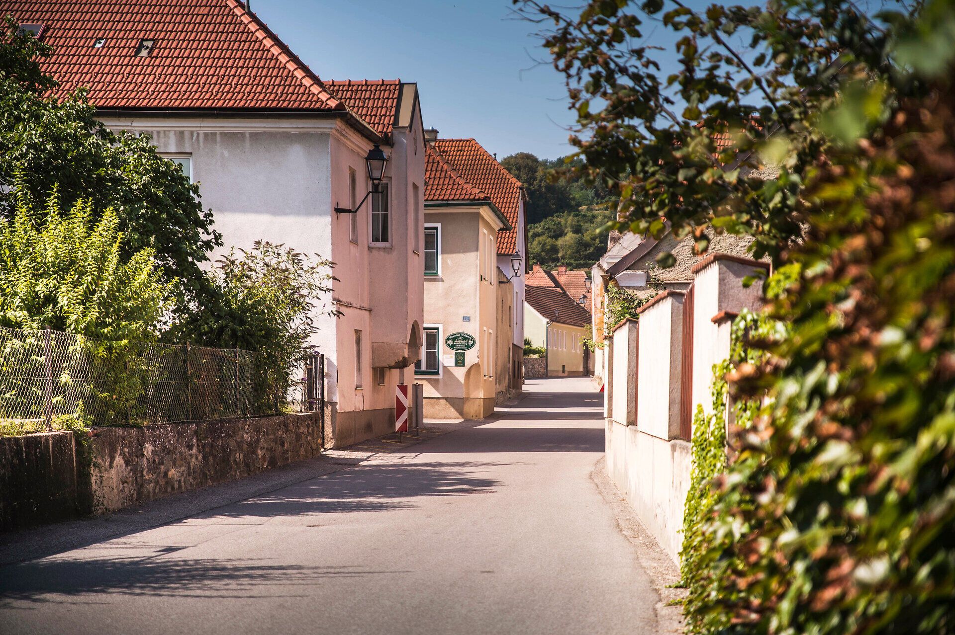 Die ruhige Straße, gesäumt von charmanten Häusern mit roten Dächern, lädt zu einem entspannten Spaziergang ein. Üppige grüne Pflanzen und die sanfte Hügelkulisse schaffen eine malerische Atmosphäre, die zum Verweilen einlädt. Hier erleben Besucher die Schönheit der Natur und die Gemütlichkeit des ländlichen Lebens.