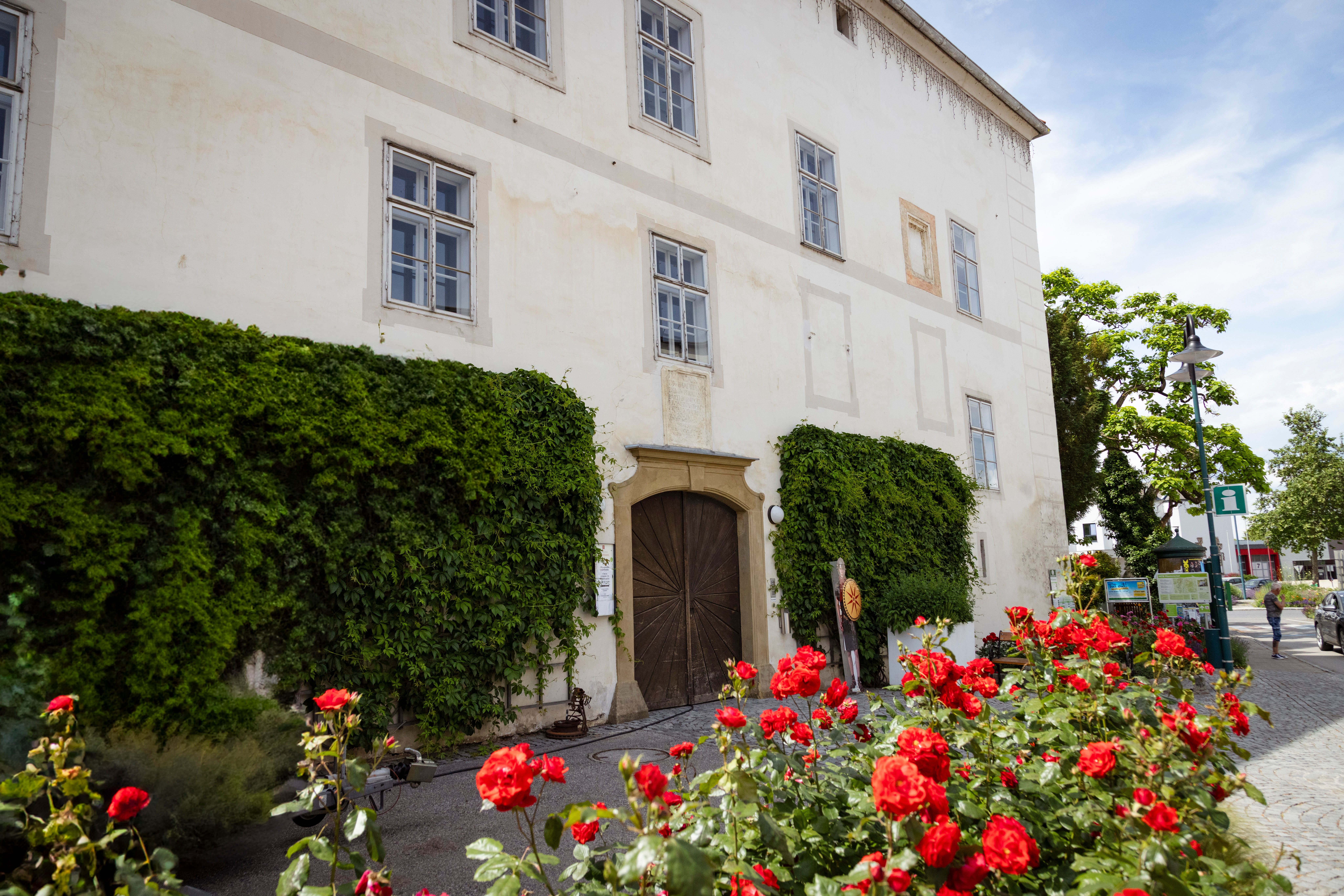 Schloss Traismauer von aussen
